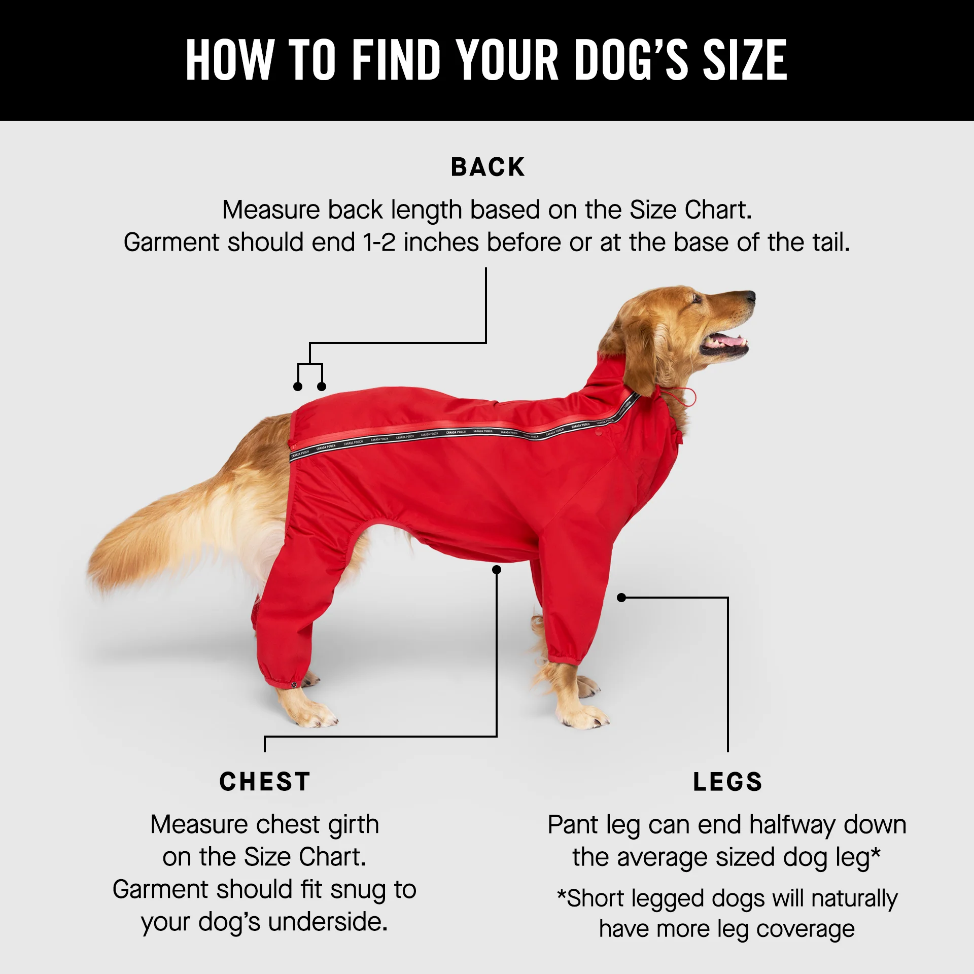 The Slush Suit - Image 3