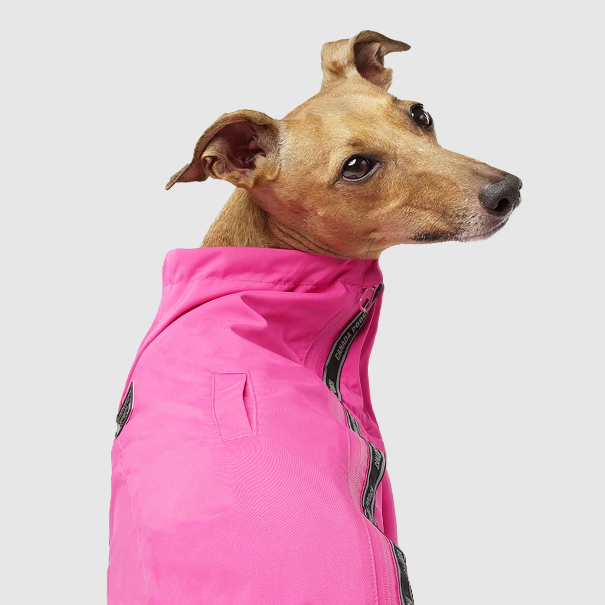 The Slush Suit - Image 33