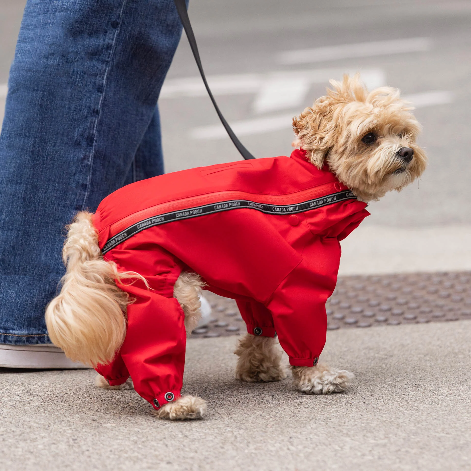 The Slush Suit - Image 9