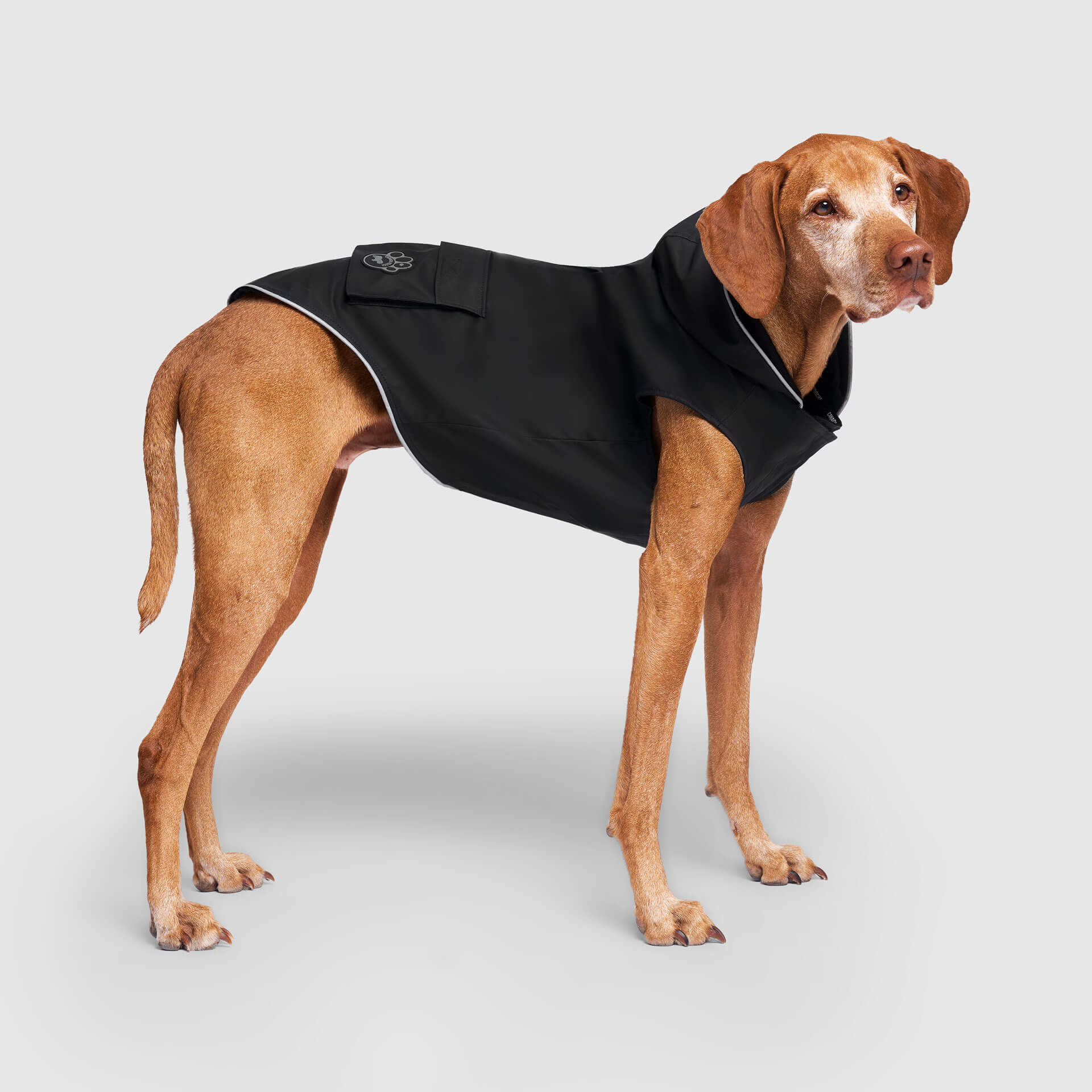 Torrential Tracker - Image 17