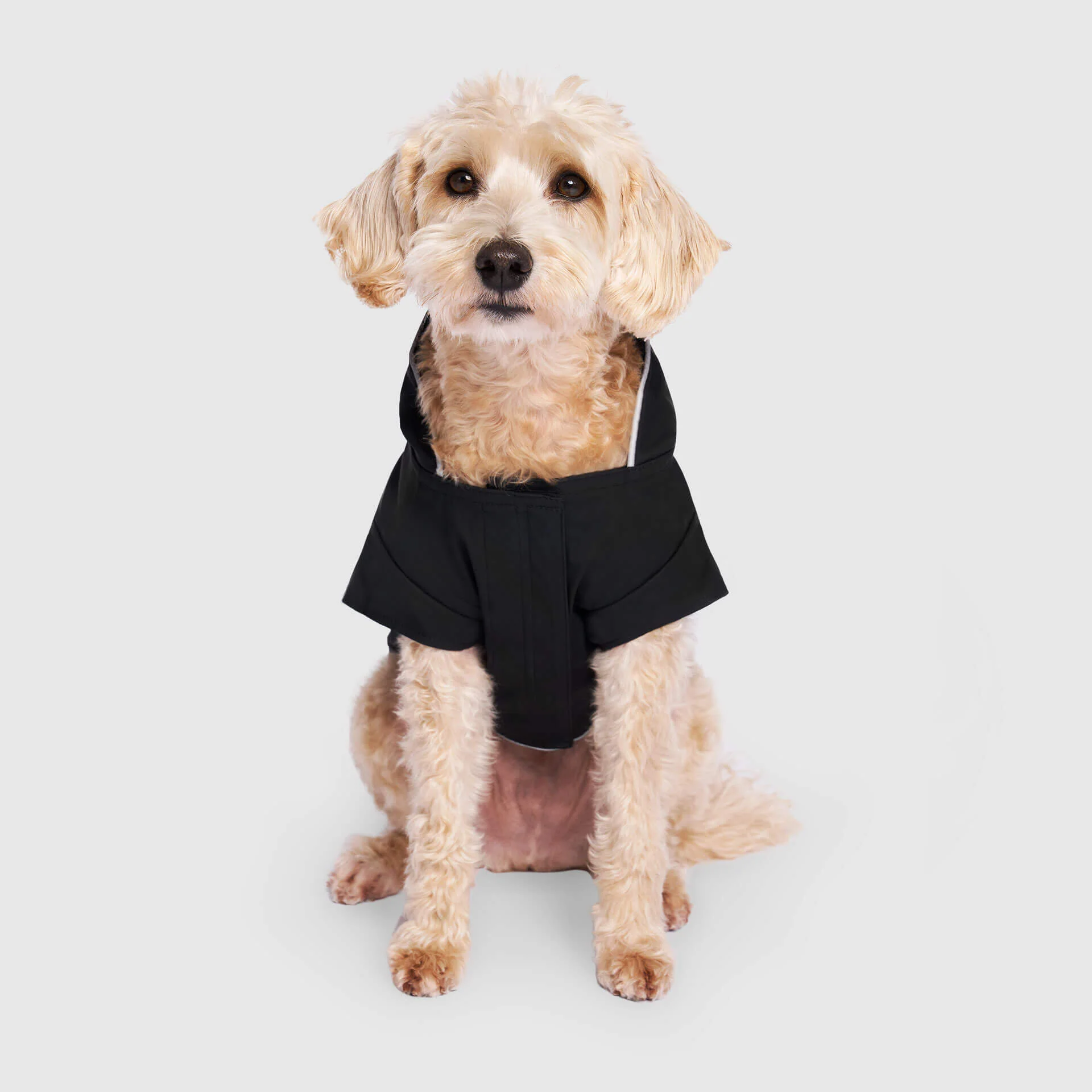 Torrential Tracker - Image 20