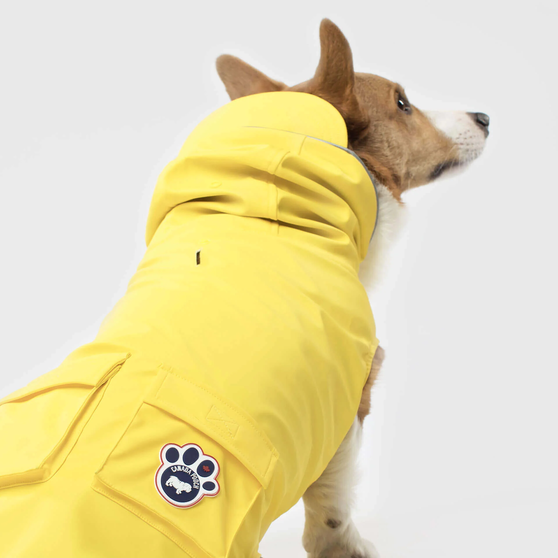 Torrential Tracker - Image 7