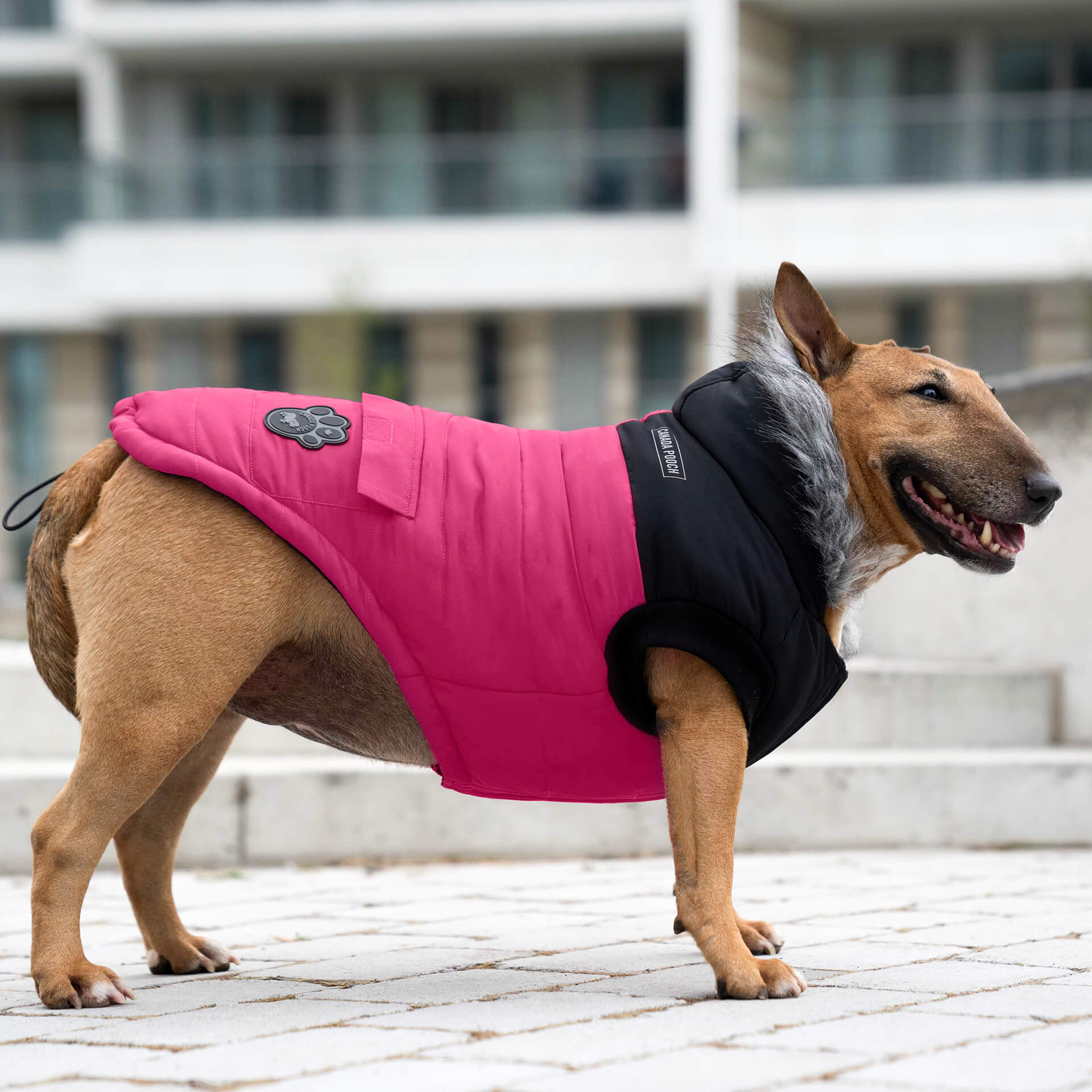 True North Parka - Image 11