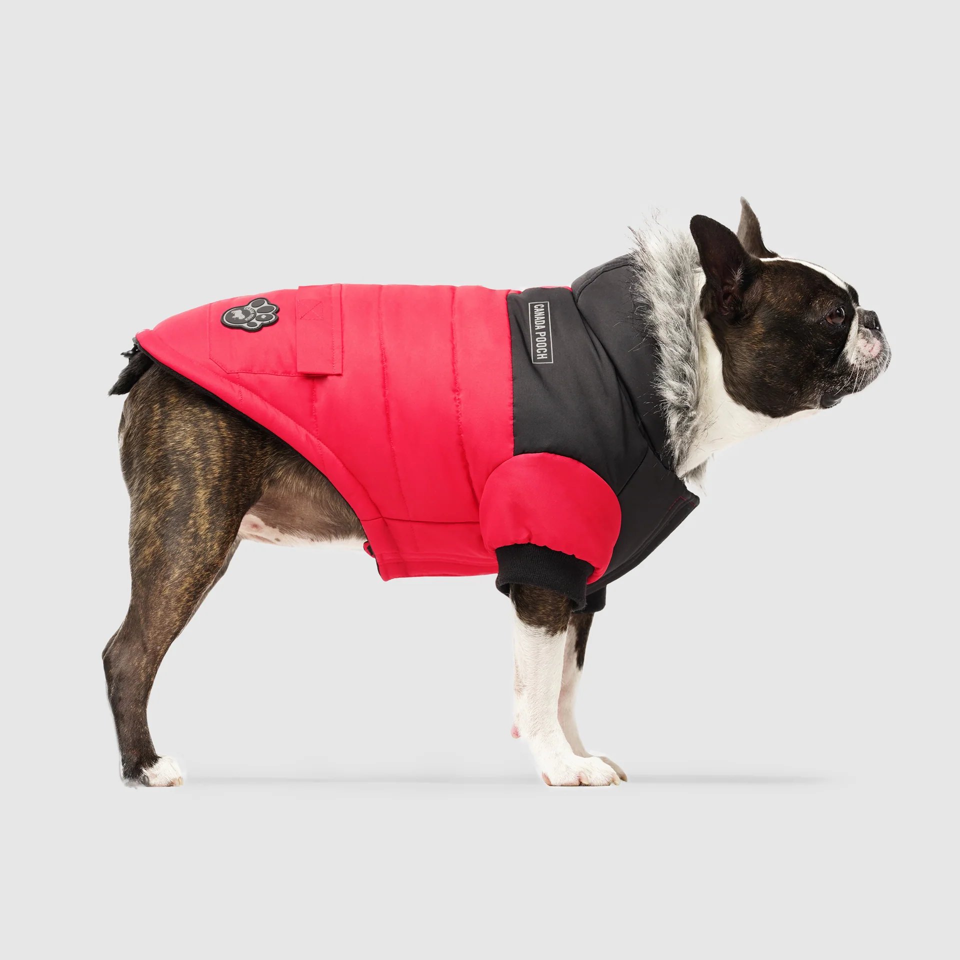 True North Parka - Image 12