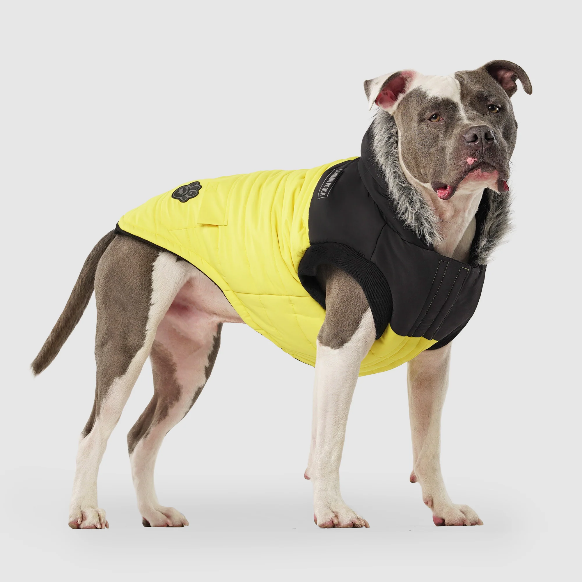 True North Parka - Image 17