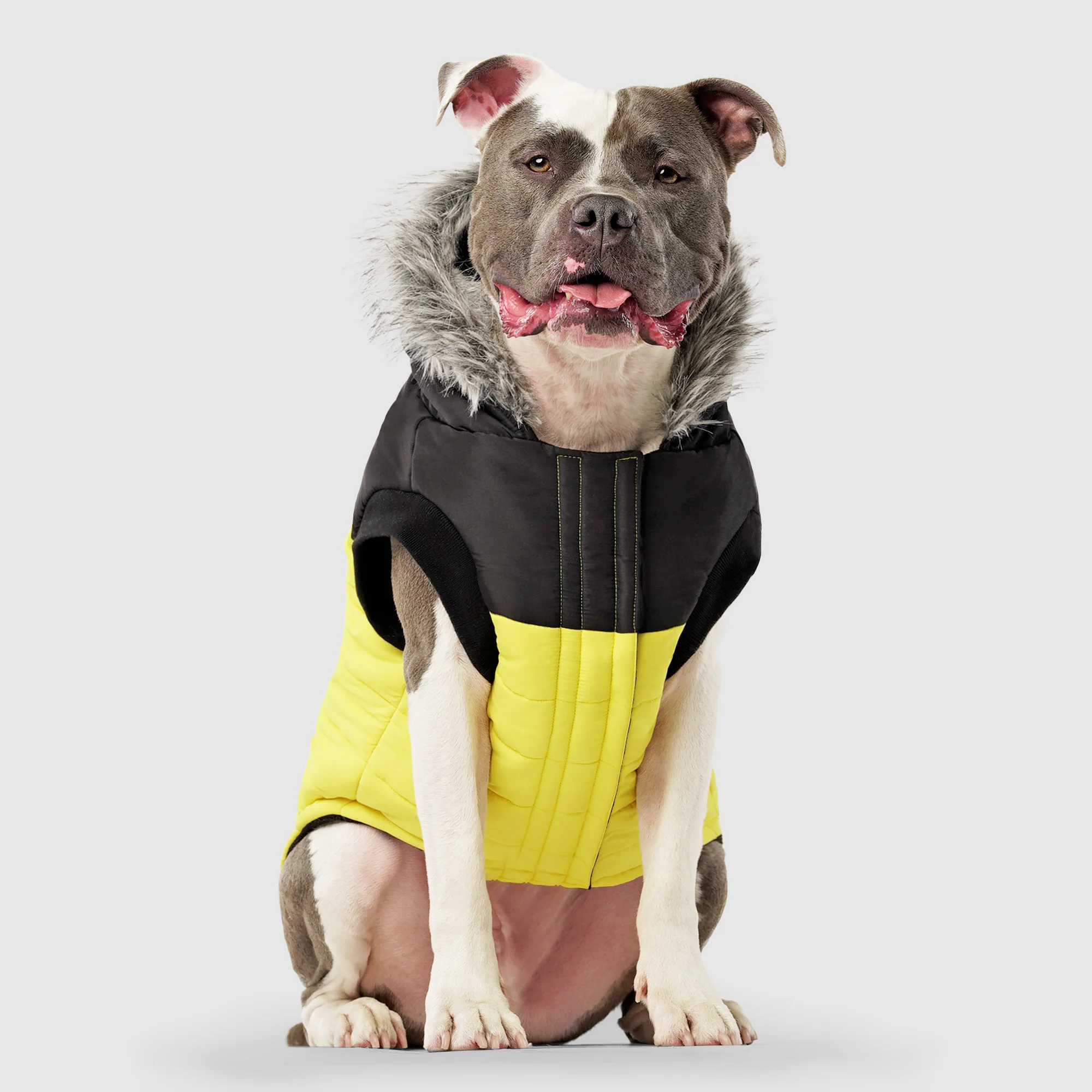 True North Parka - Image 18