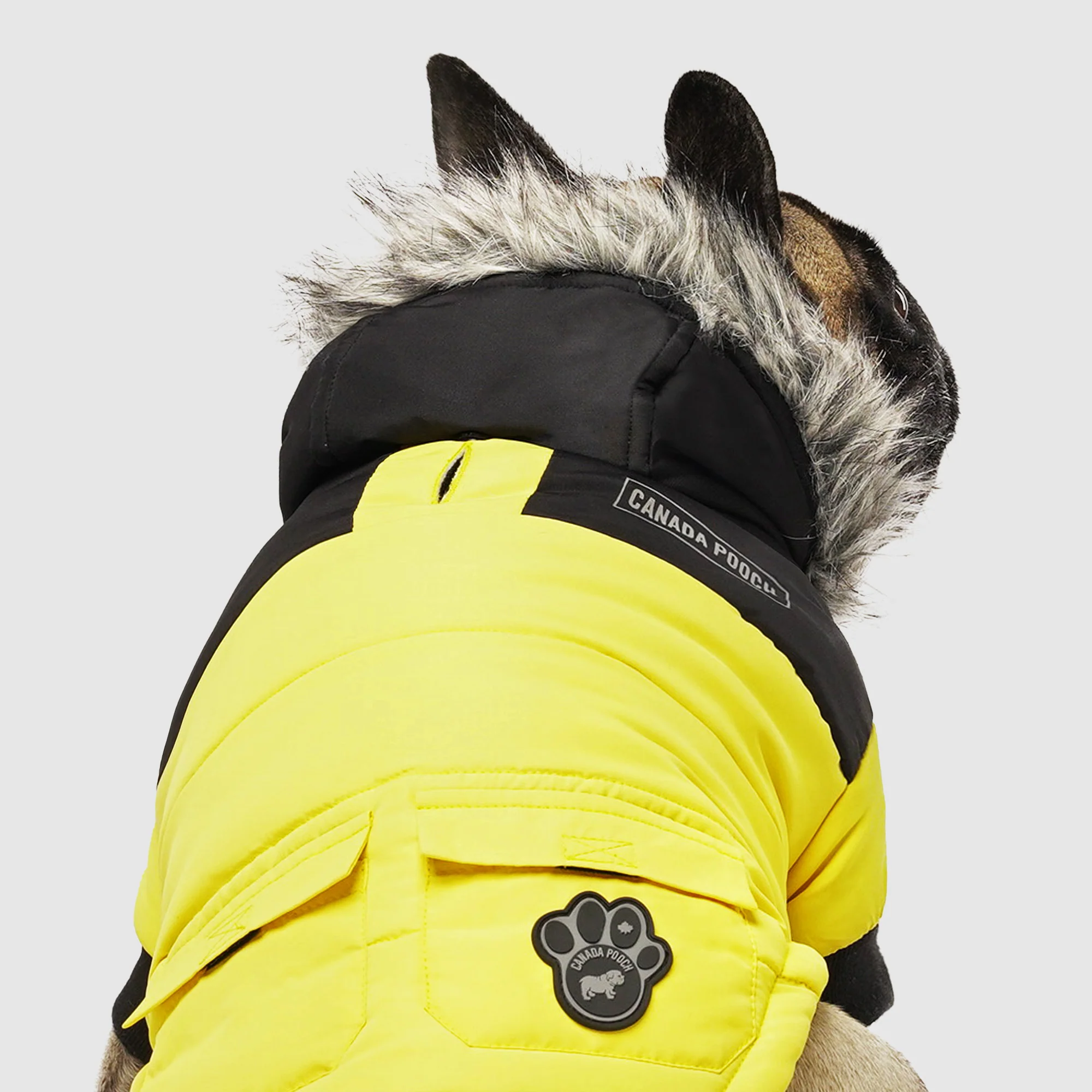 True North Parka - Image 20