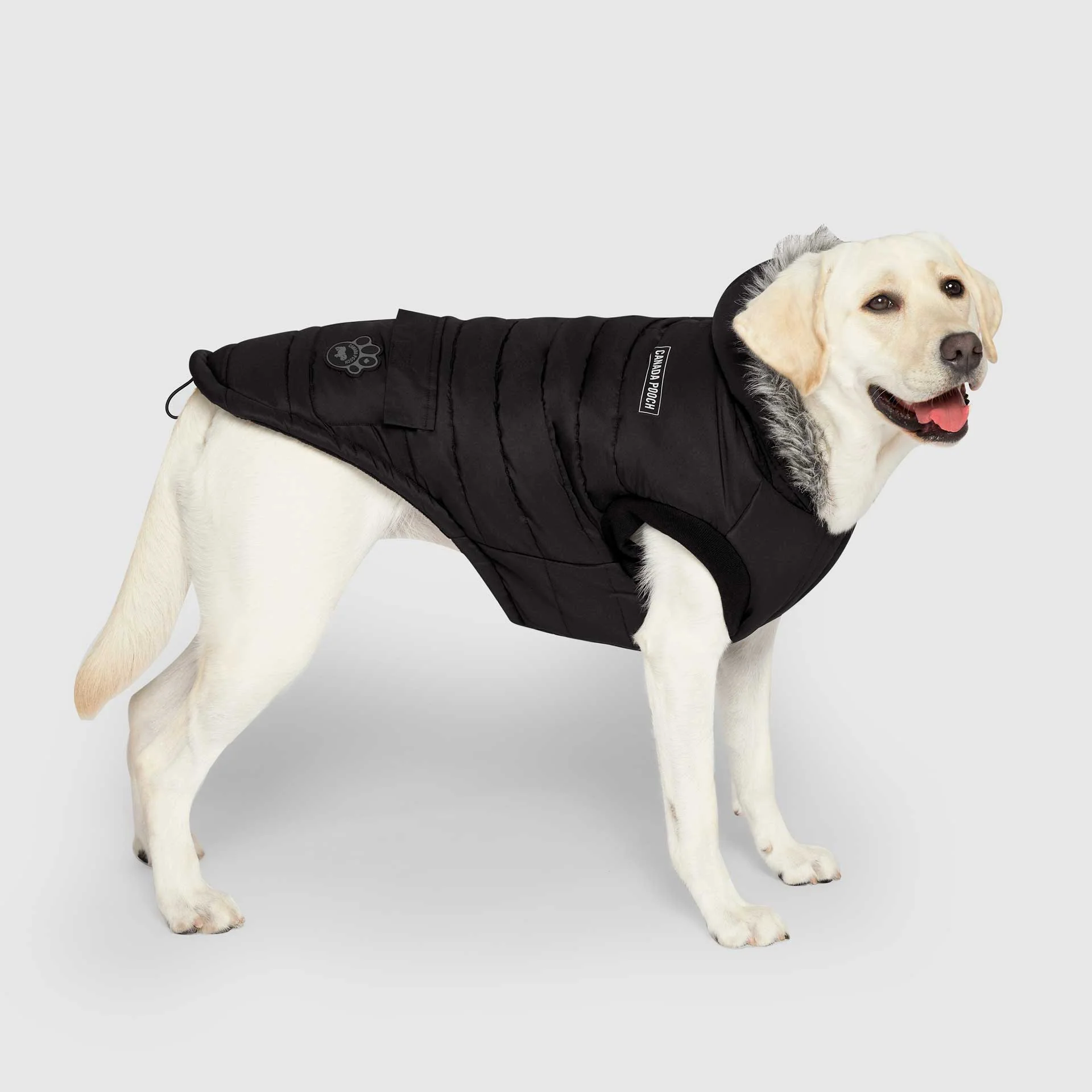 True North Parka - Image 21