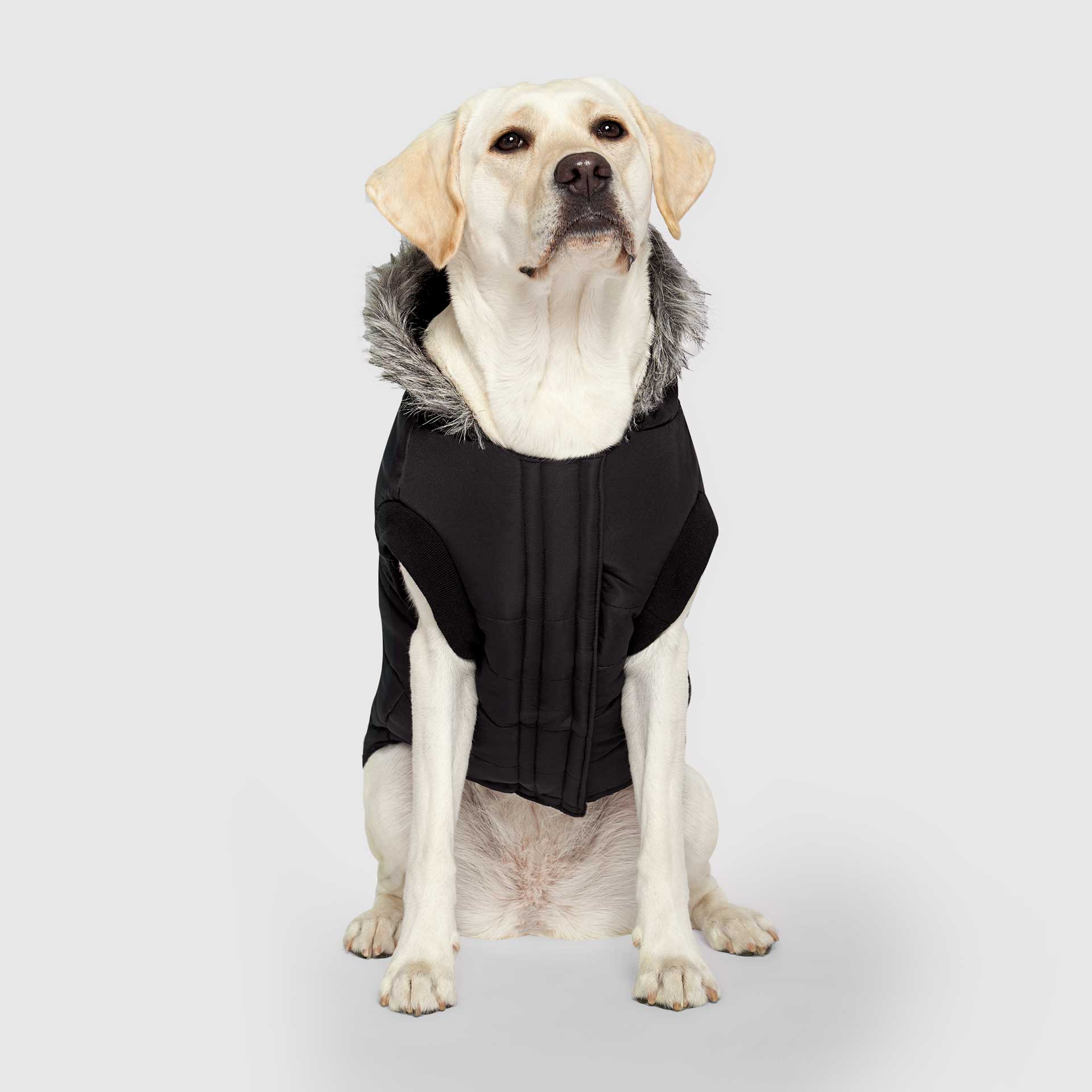 True North Parka - Image 22