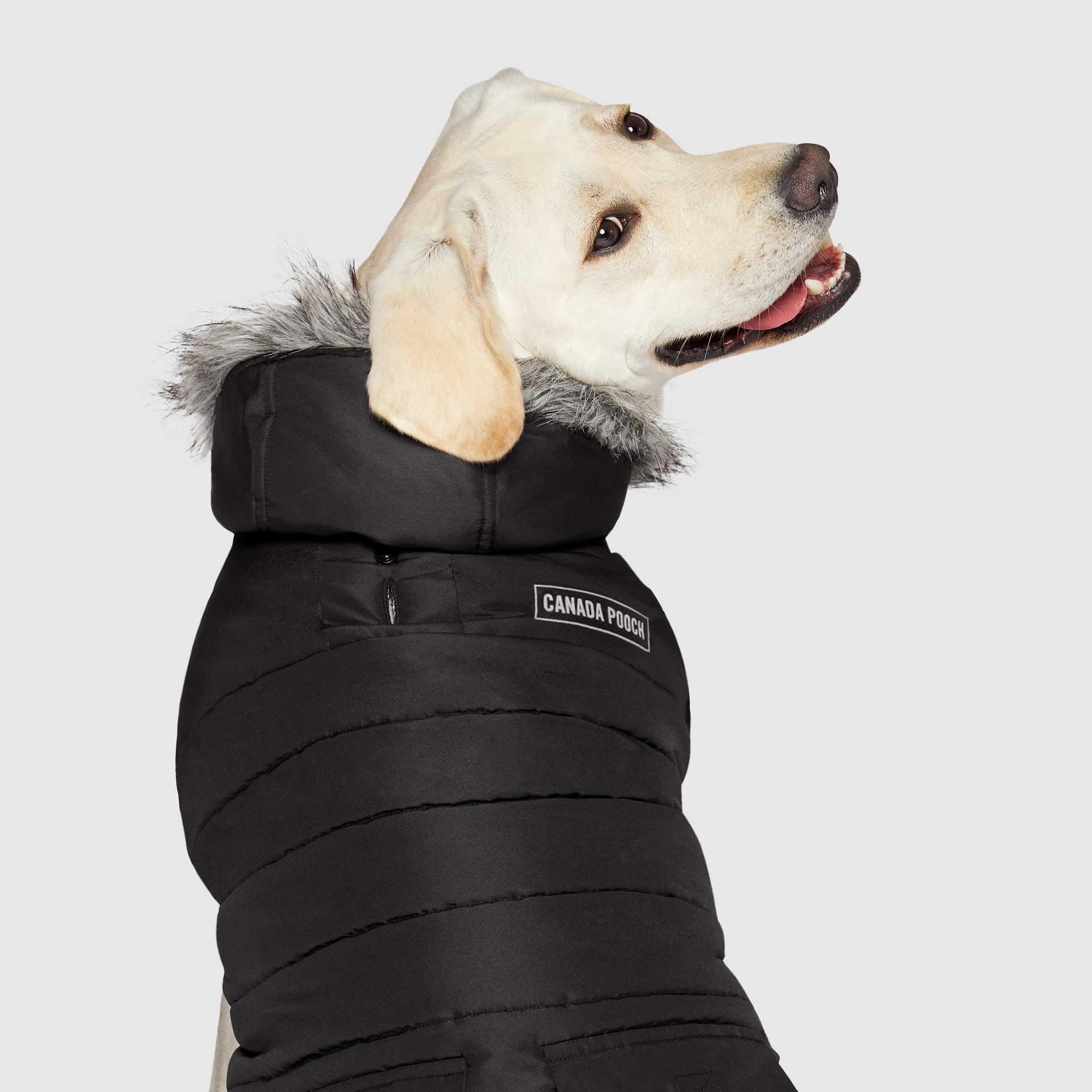 True North Parka - Image 23