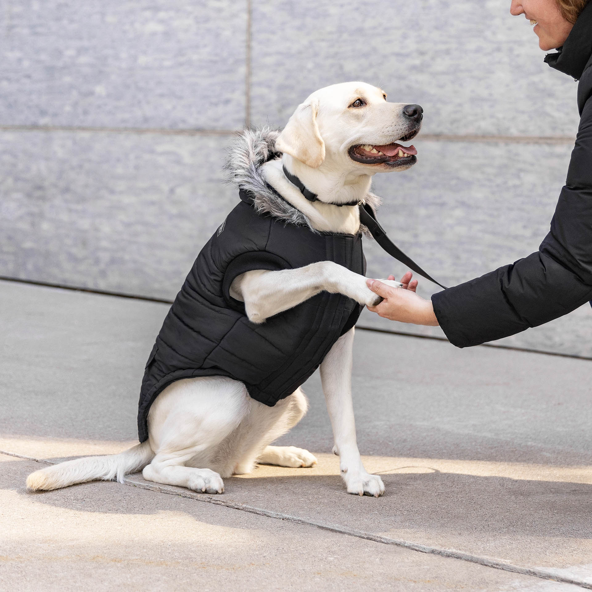 True North Parka - Image 25