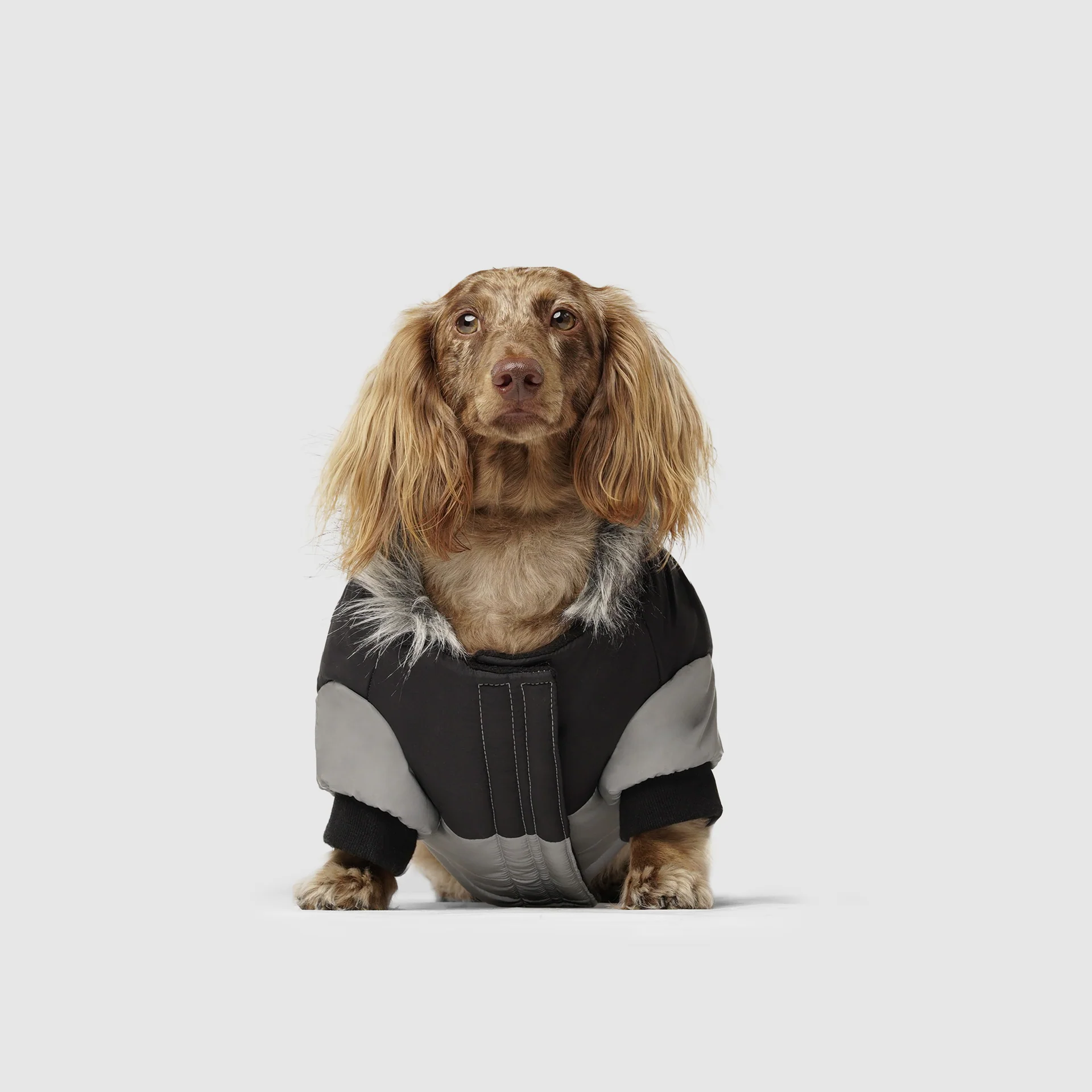 True North Parka - Image 3