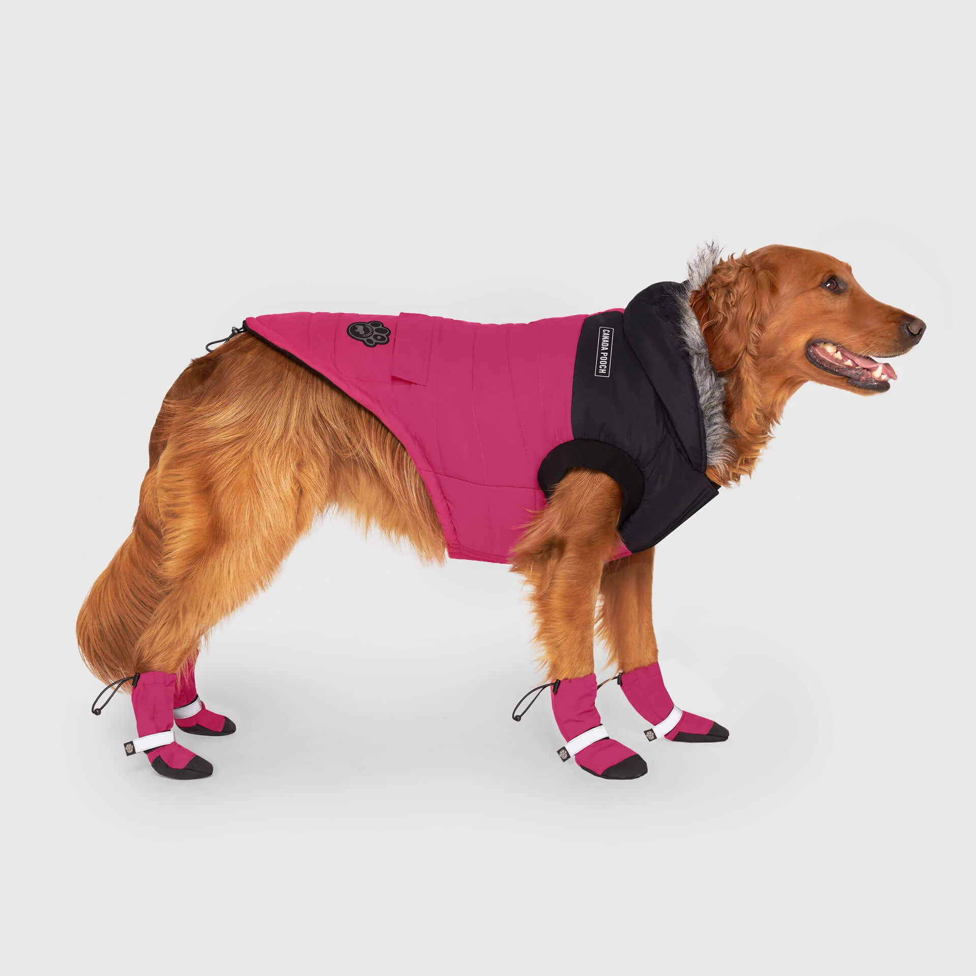 True North Parka - Image 7