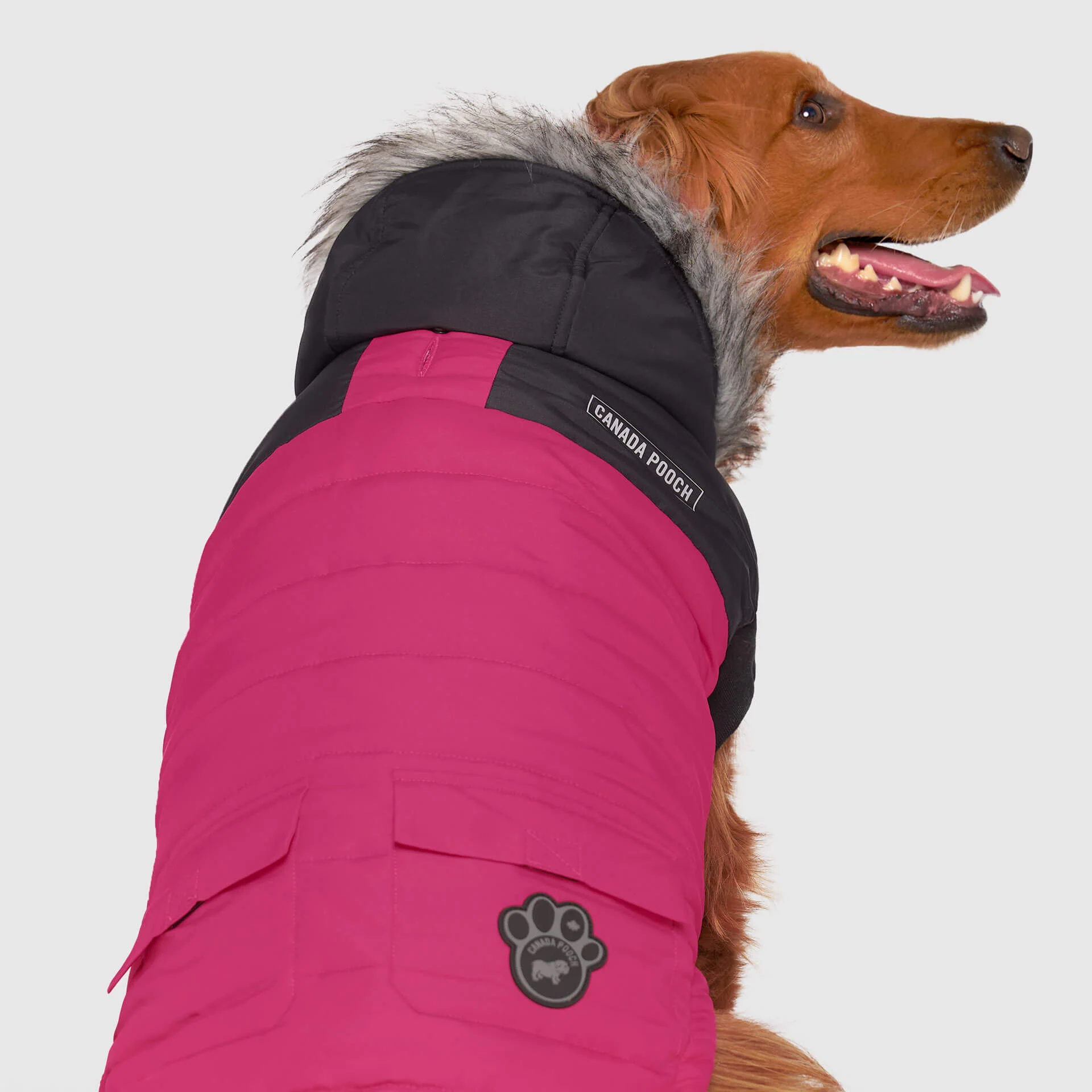 True North Parka - Image 8