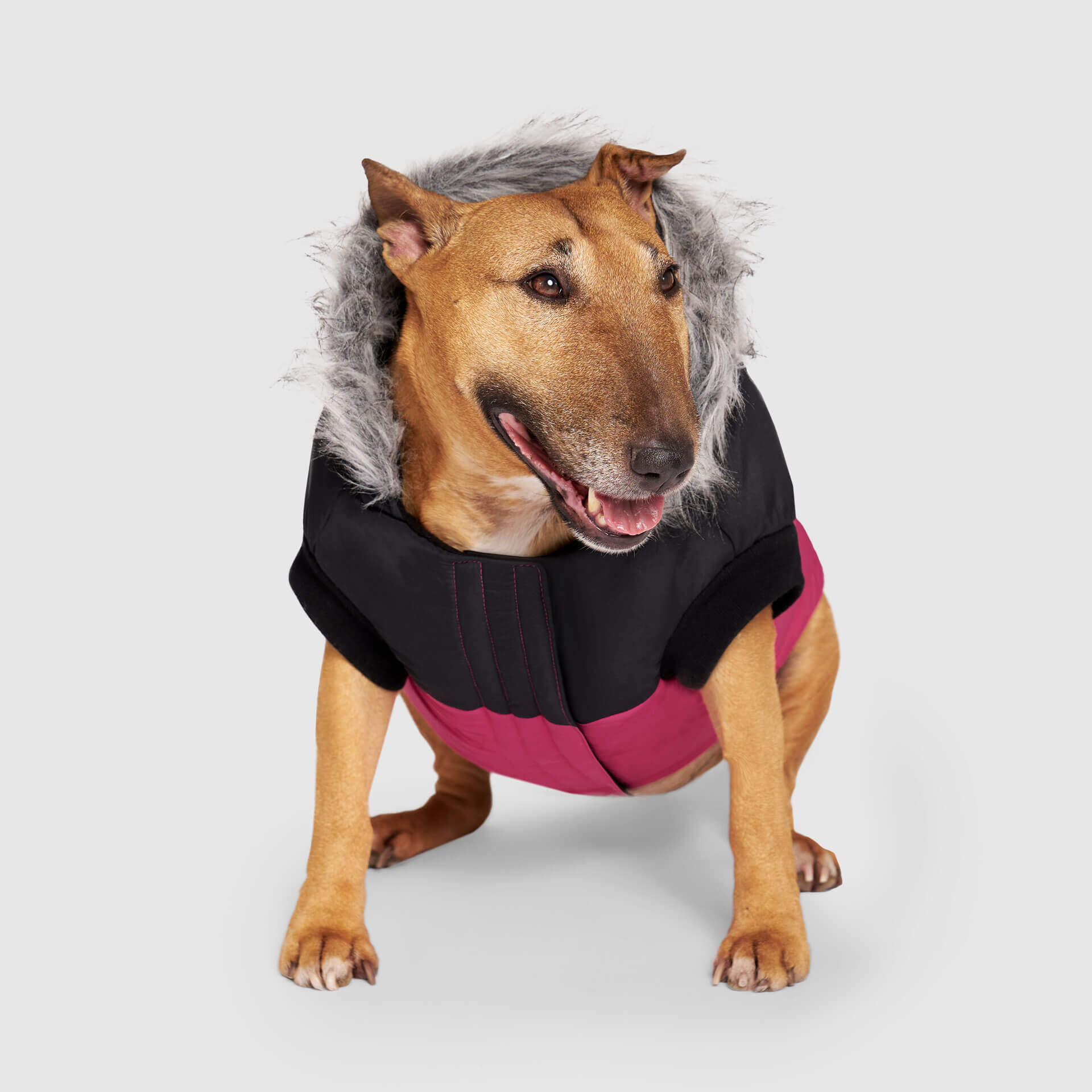 True North Parka - Image 9