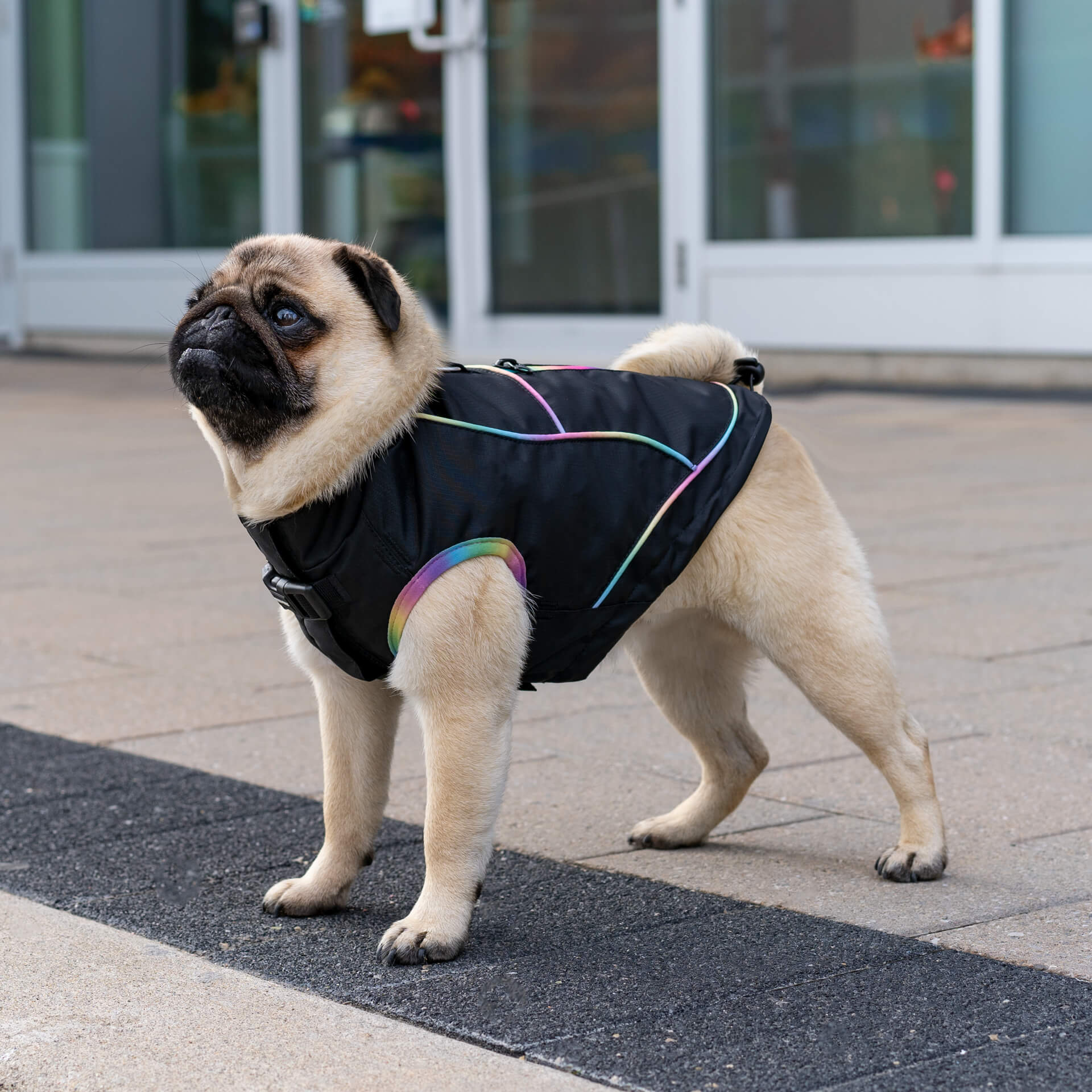 Utility Parka - Image 8