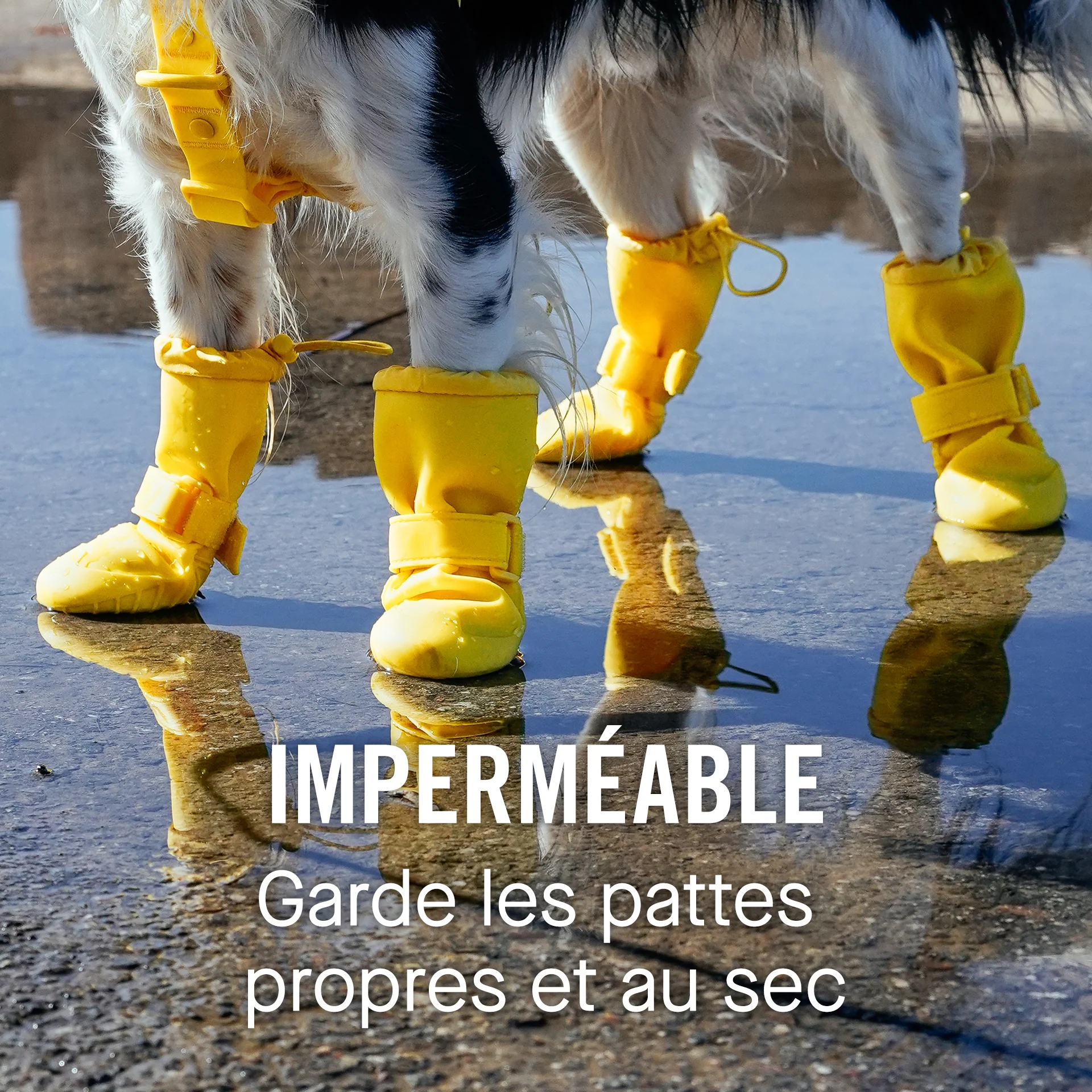 Waterproof Rain Boots - Image 11