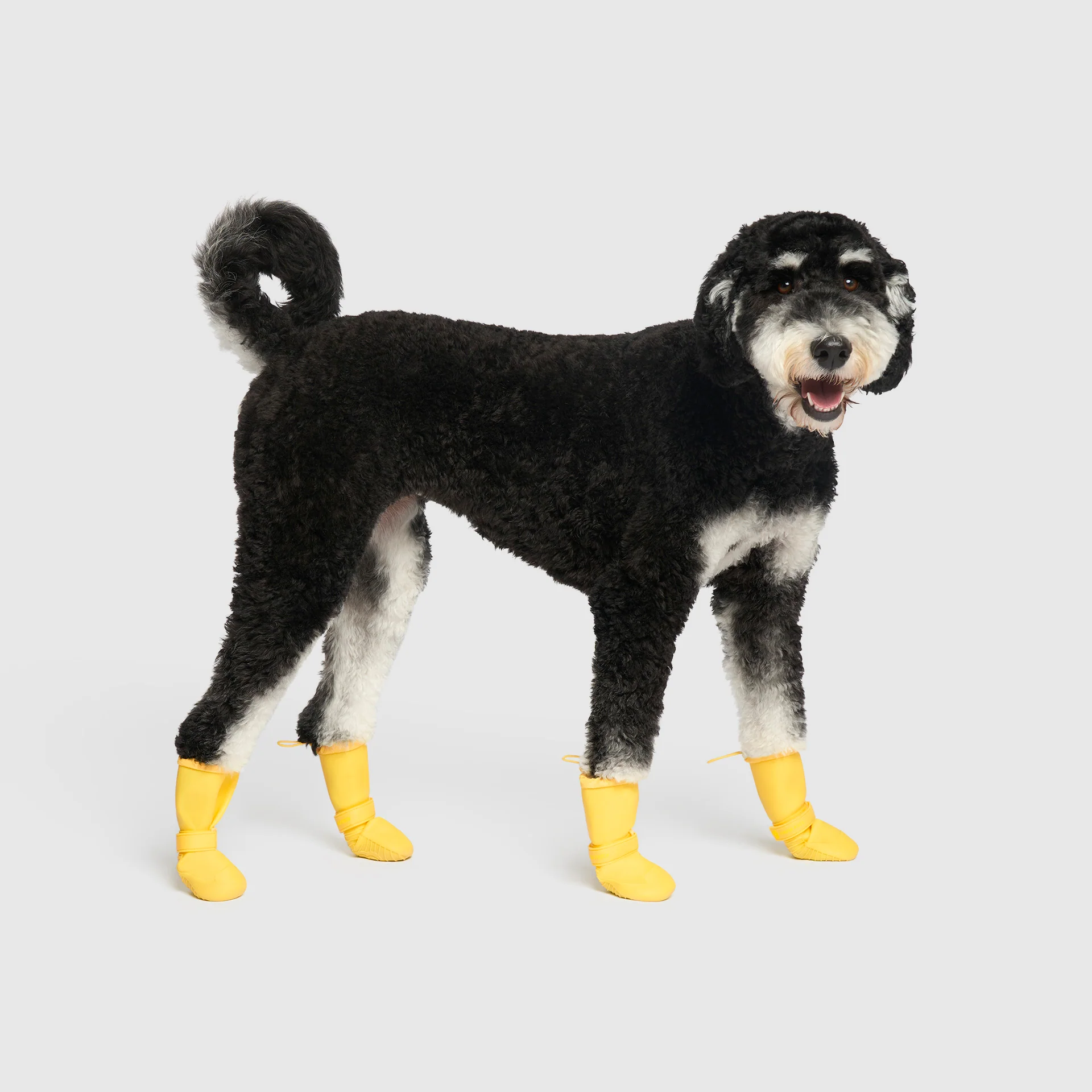 Waterproof Rain Boots - Image 17