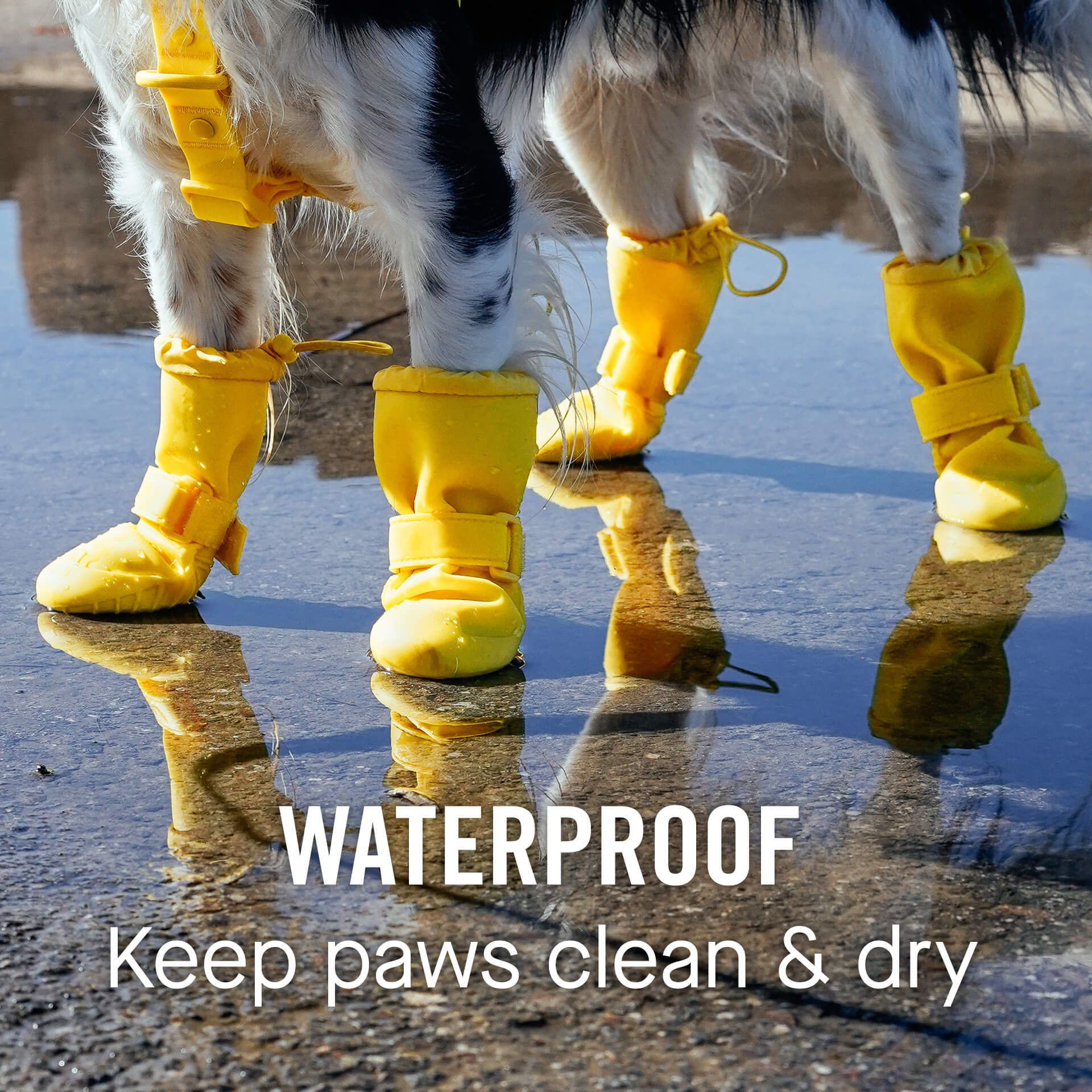 Waterproof Rain Boots - Image 18