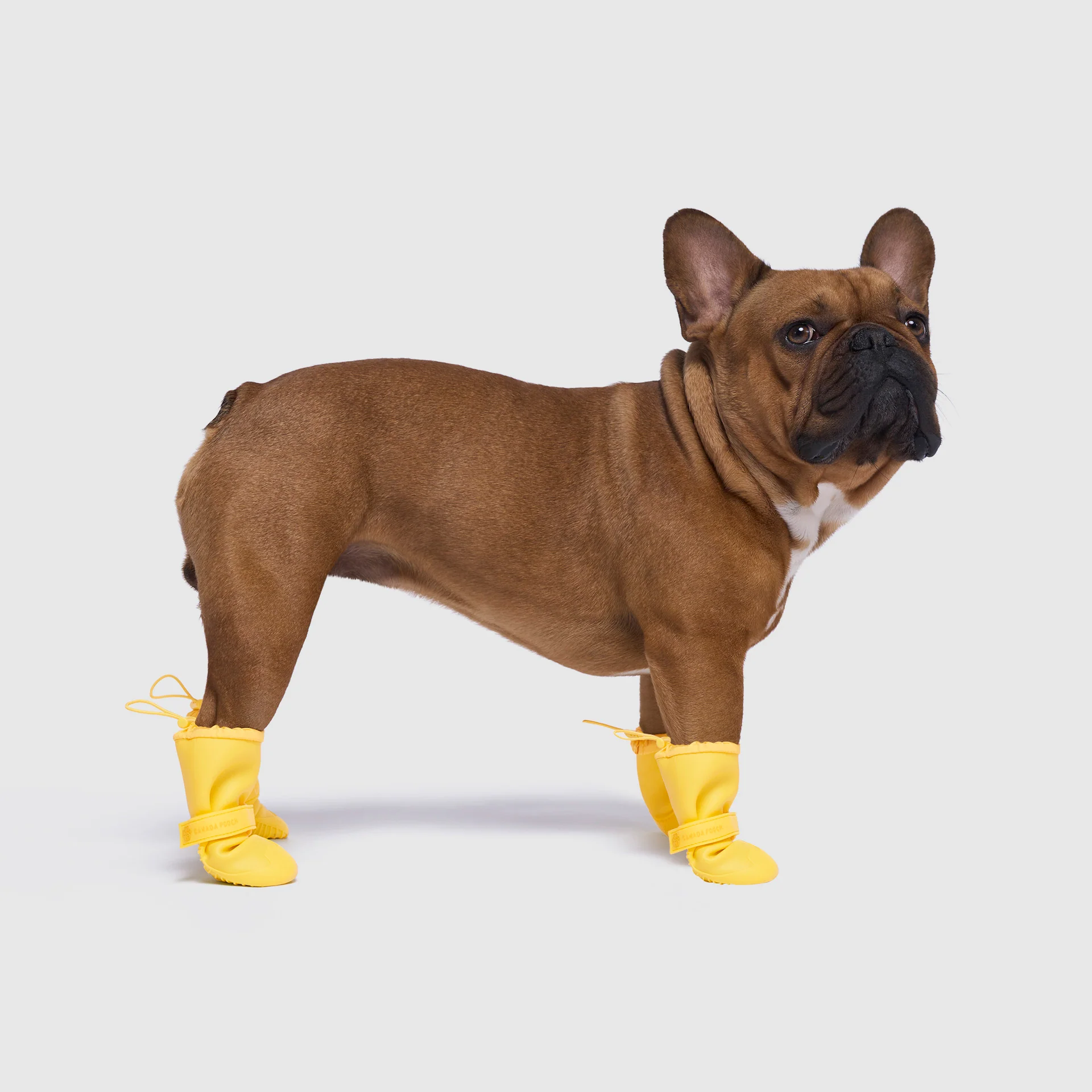 Waterproof Rain Boots - Image 21