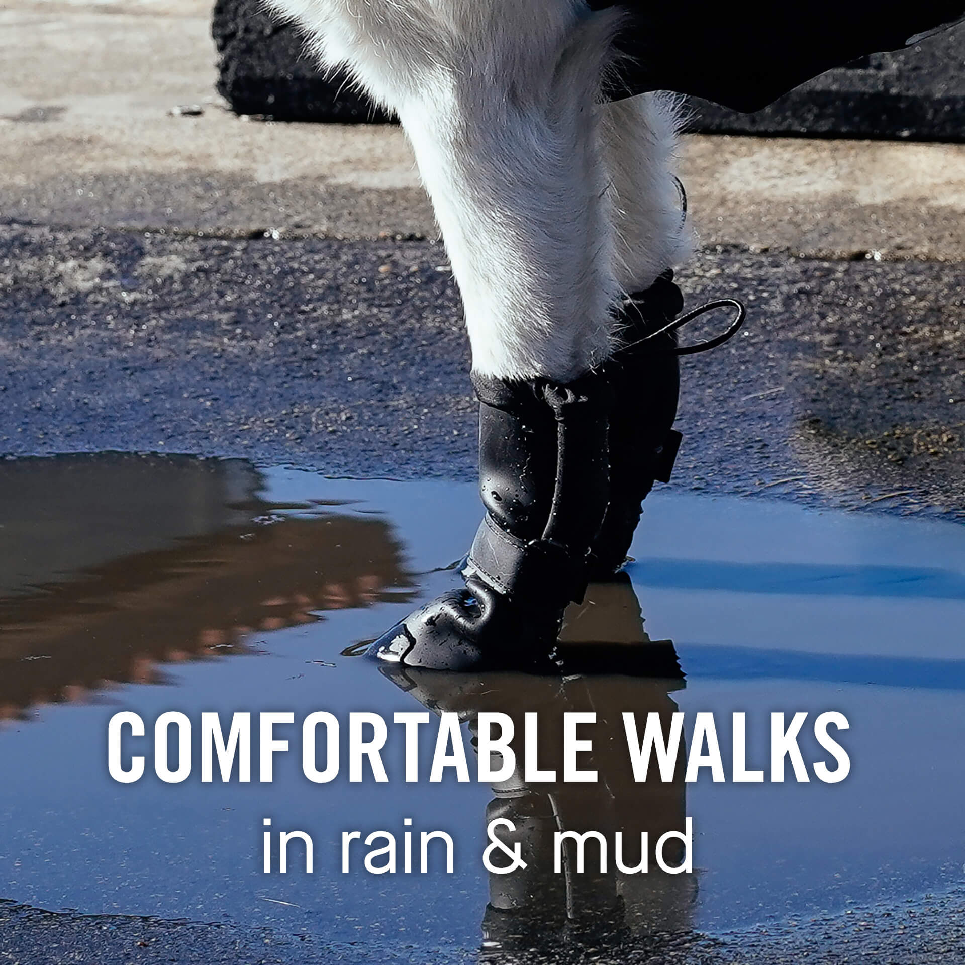 Waterproof Rain Boots - Image 22