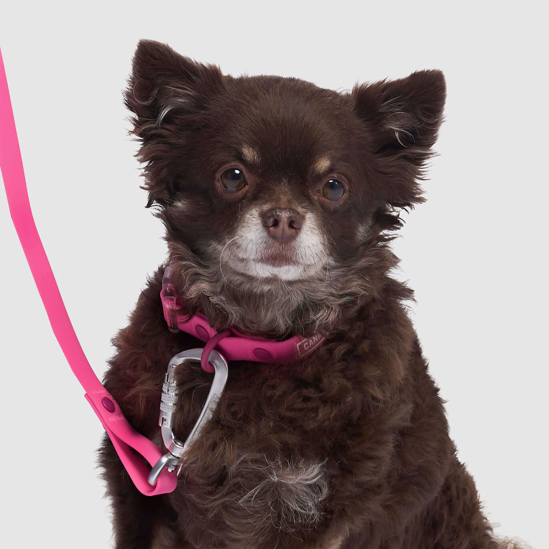 Waterproof Collar - Image 18