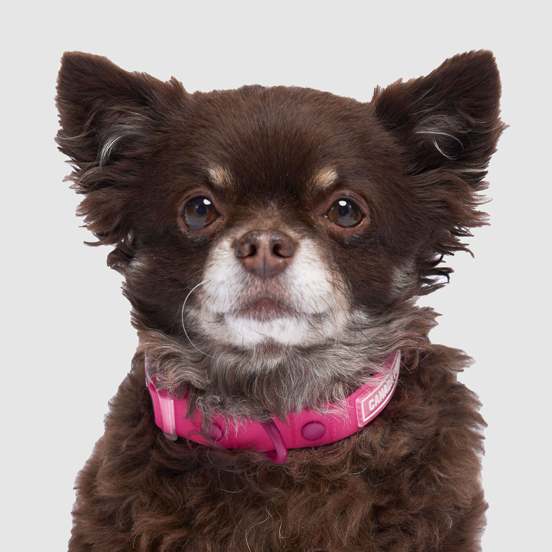 Waterproof Collar - Image 19