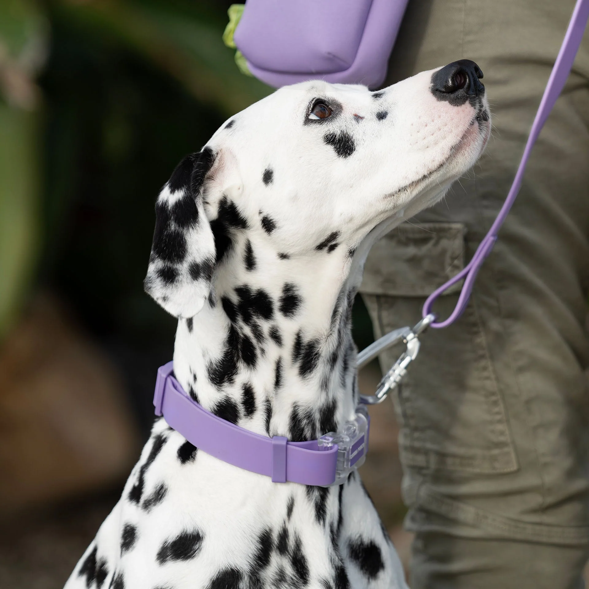 Waterproof Collar - Image 24