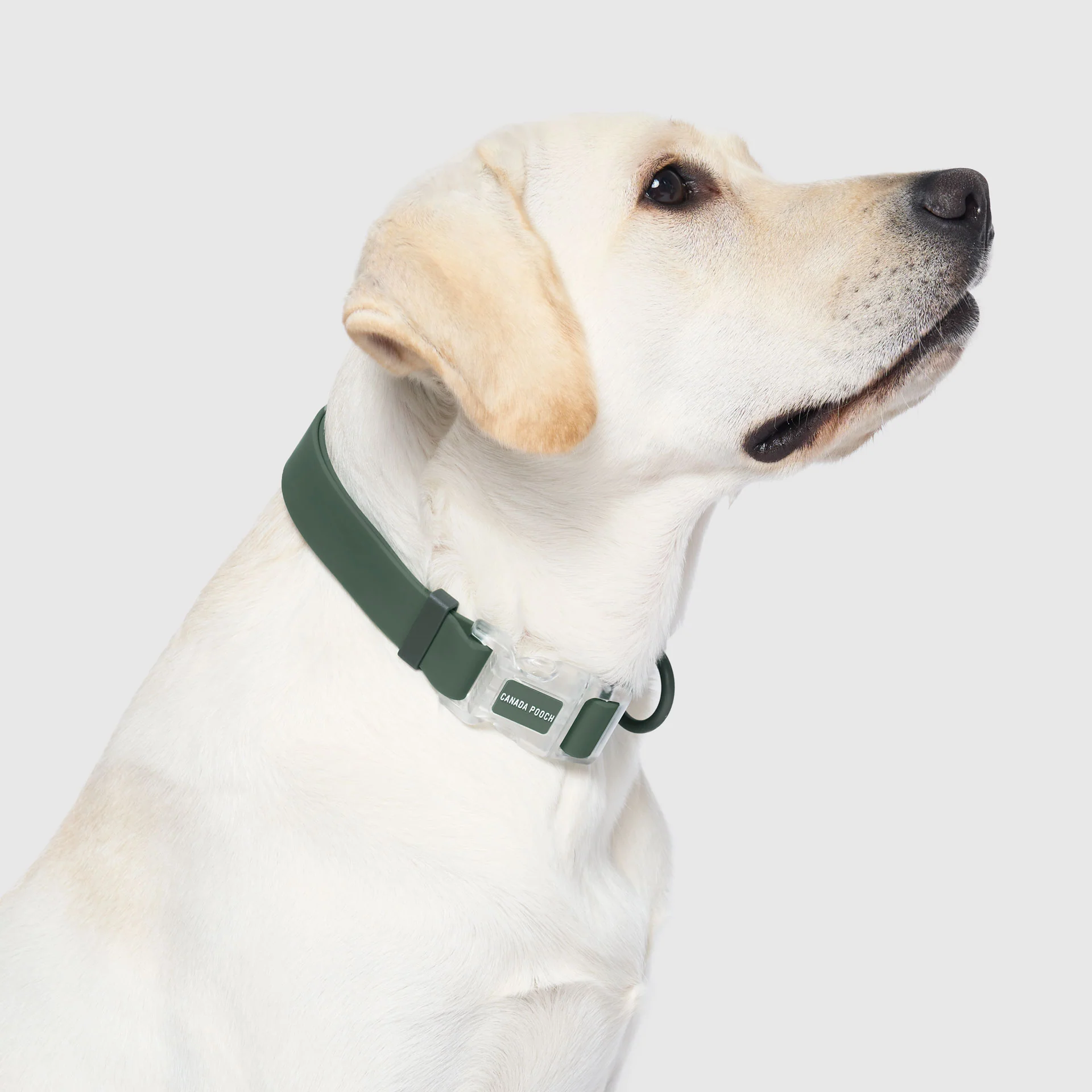 Waterproof Collar - Image 8