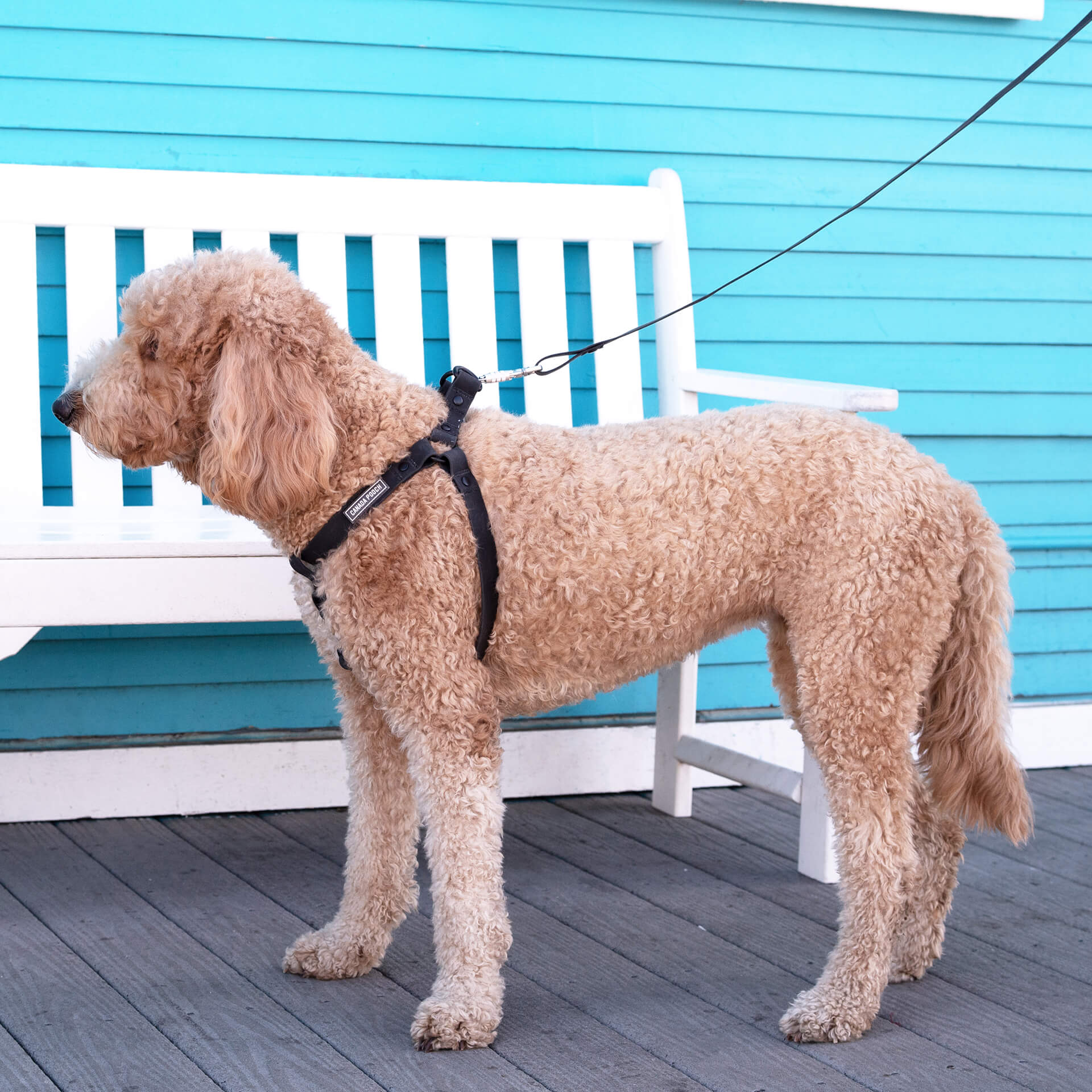 Waterproof Harness - Image 10