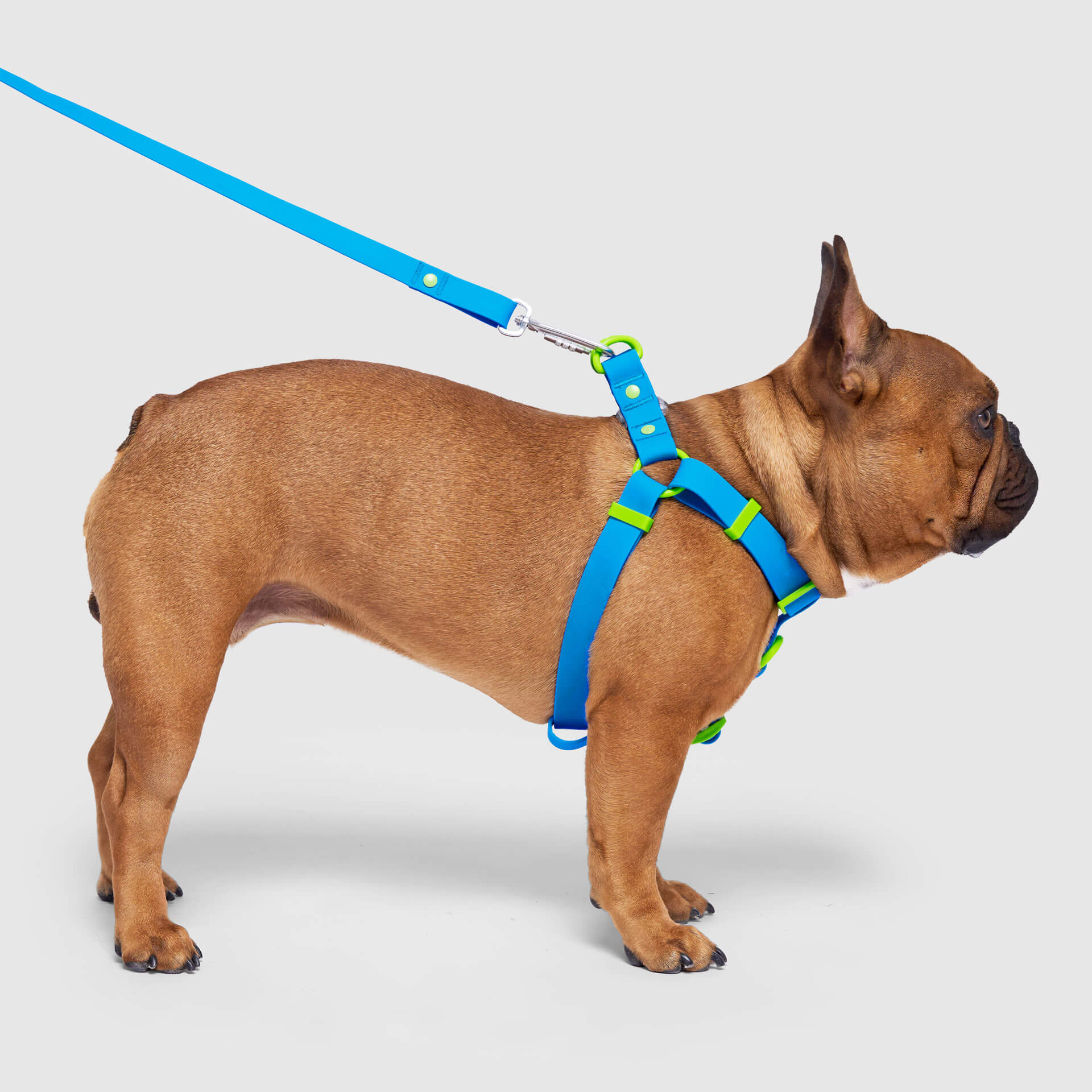Waterproof Harness - Image 12