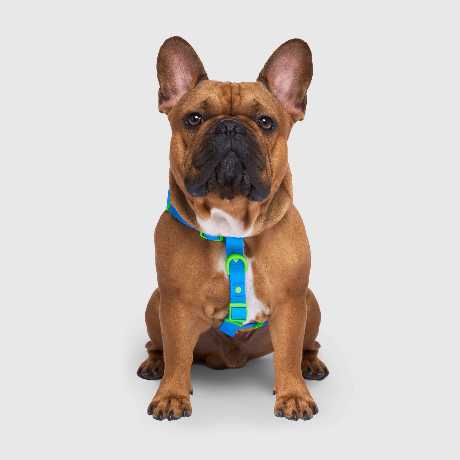 Waterproof Harness - Image 13