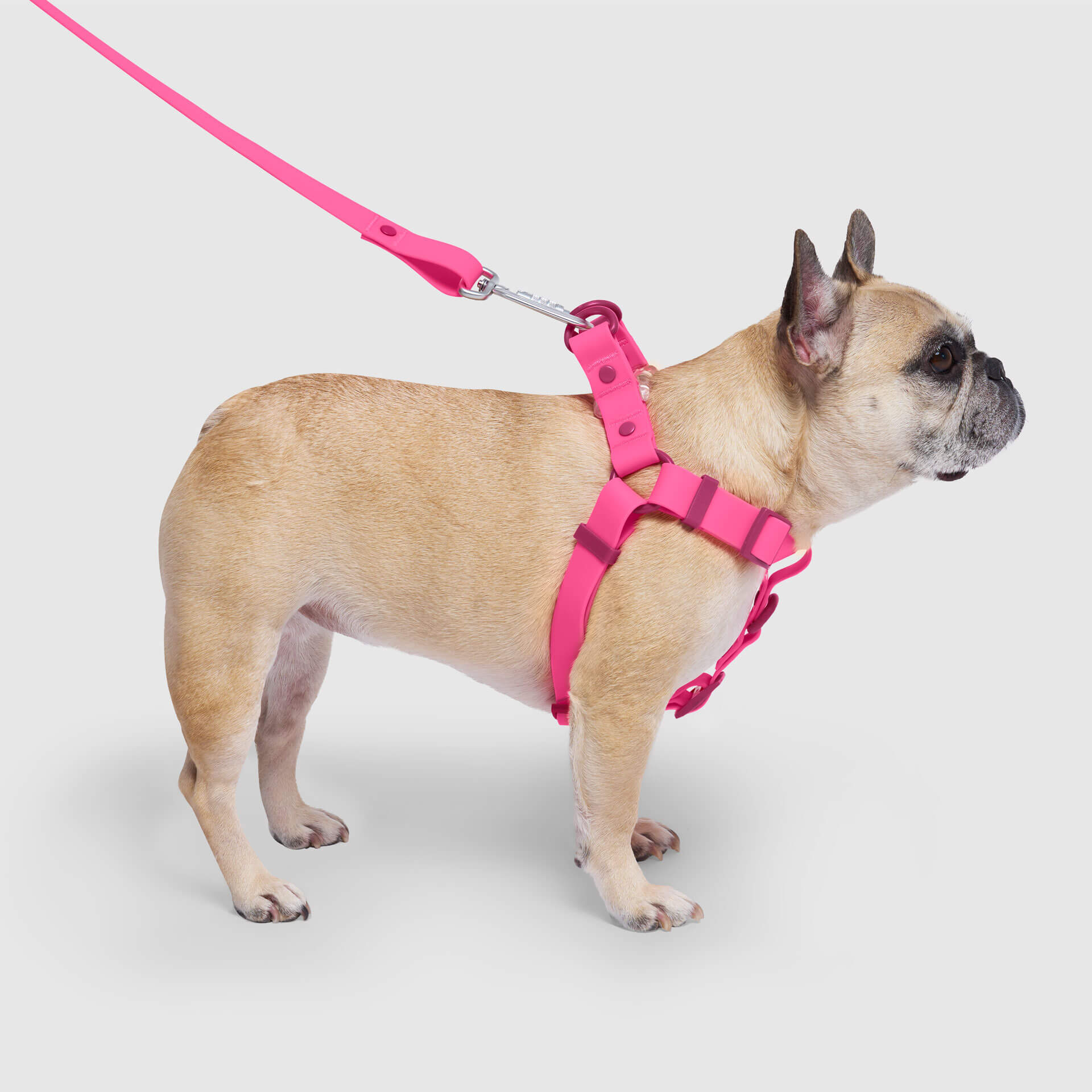 Waterproof Harness - Image 17