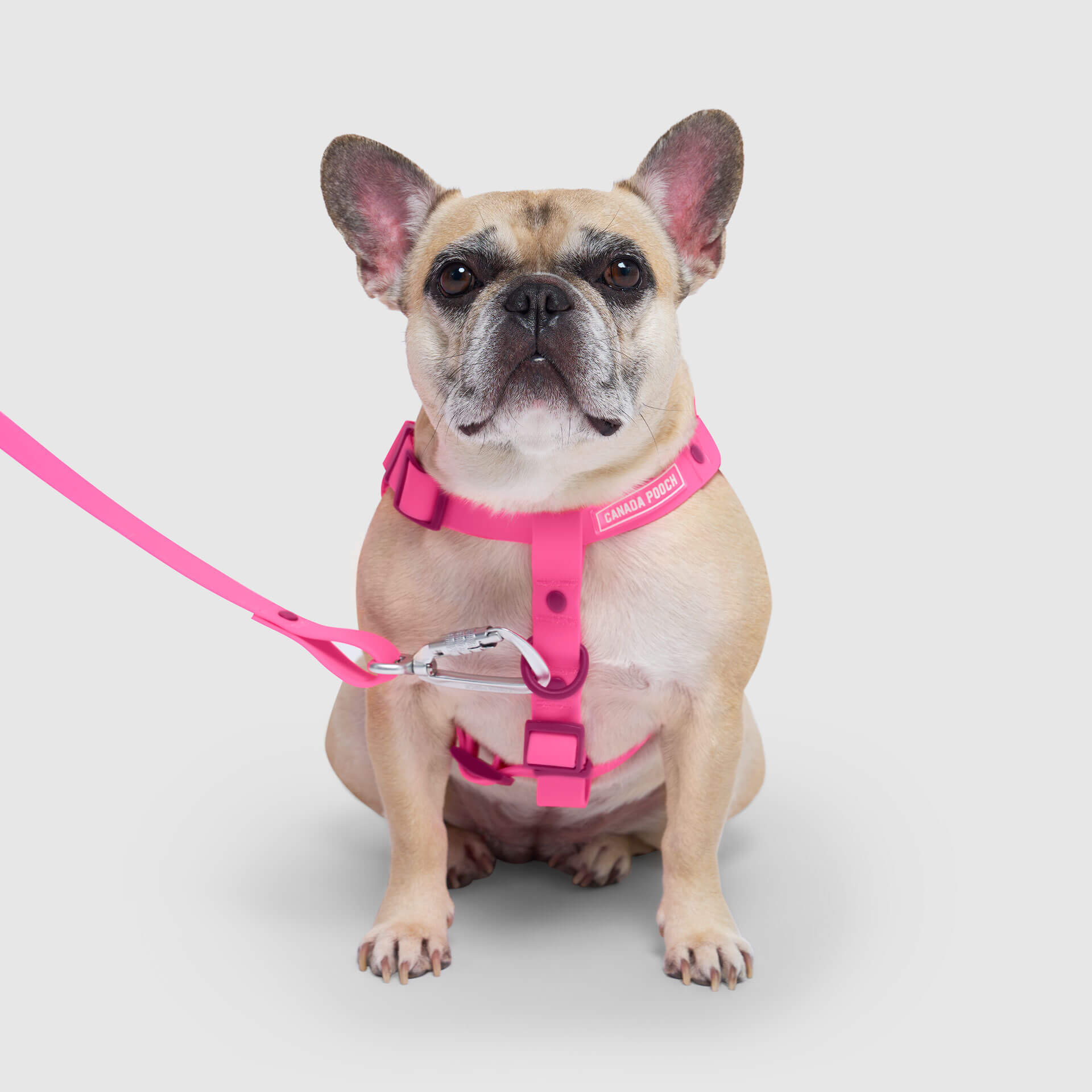 Waterproof Harness - Image 18