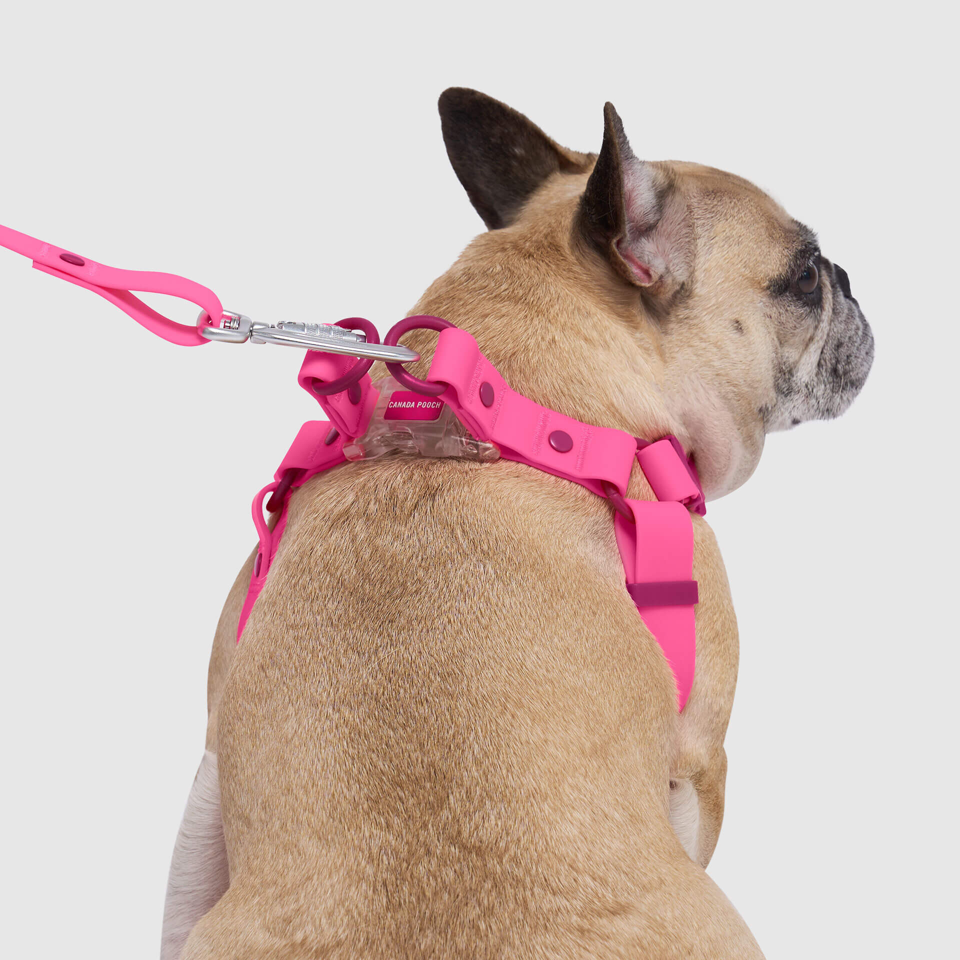 Waterproof Harness - Image 19