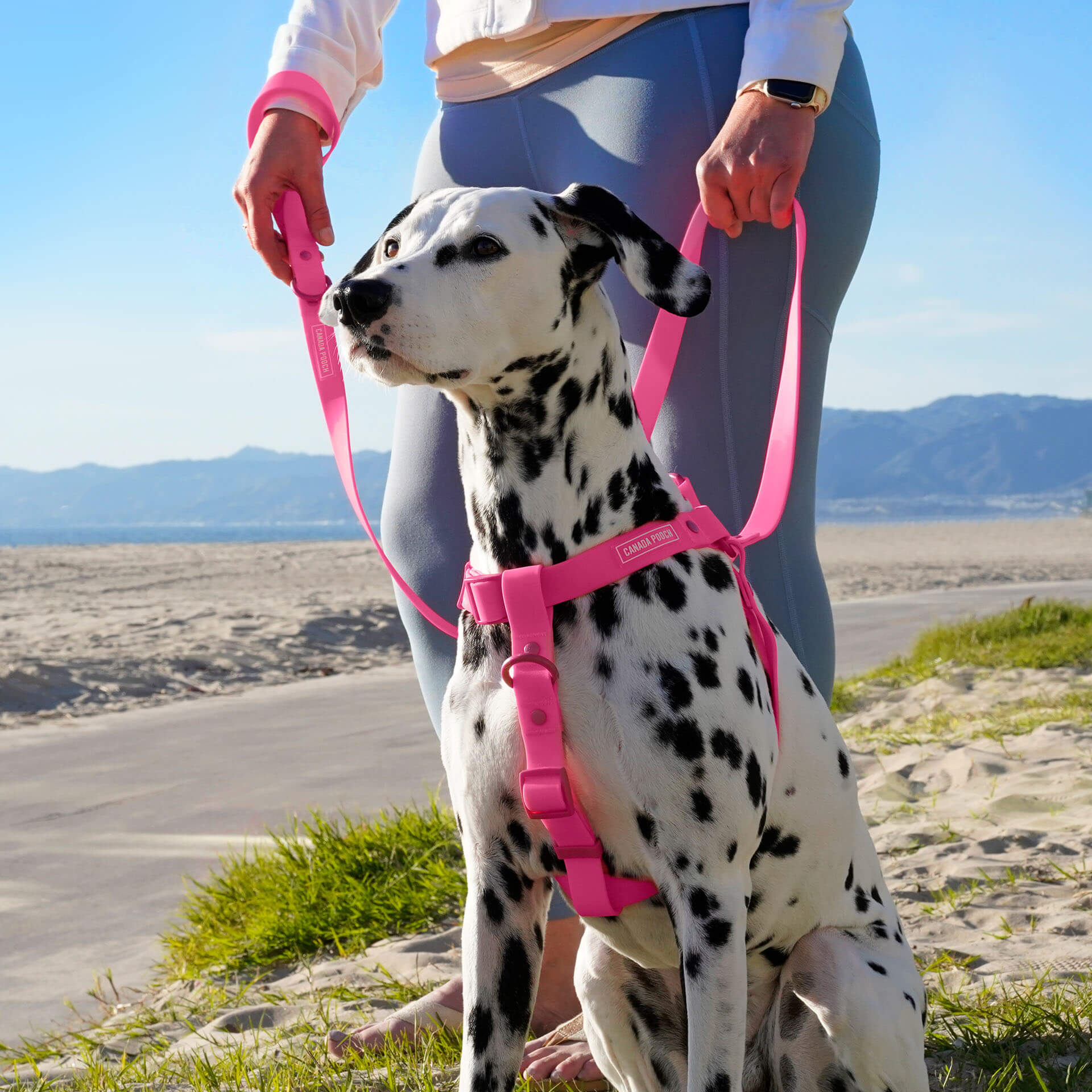 Waterproof Harness - Image 20