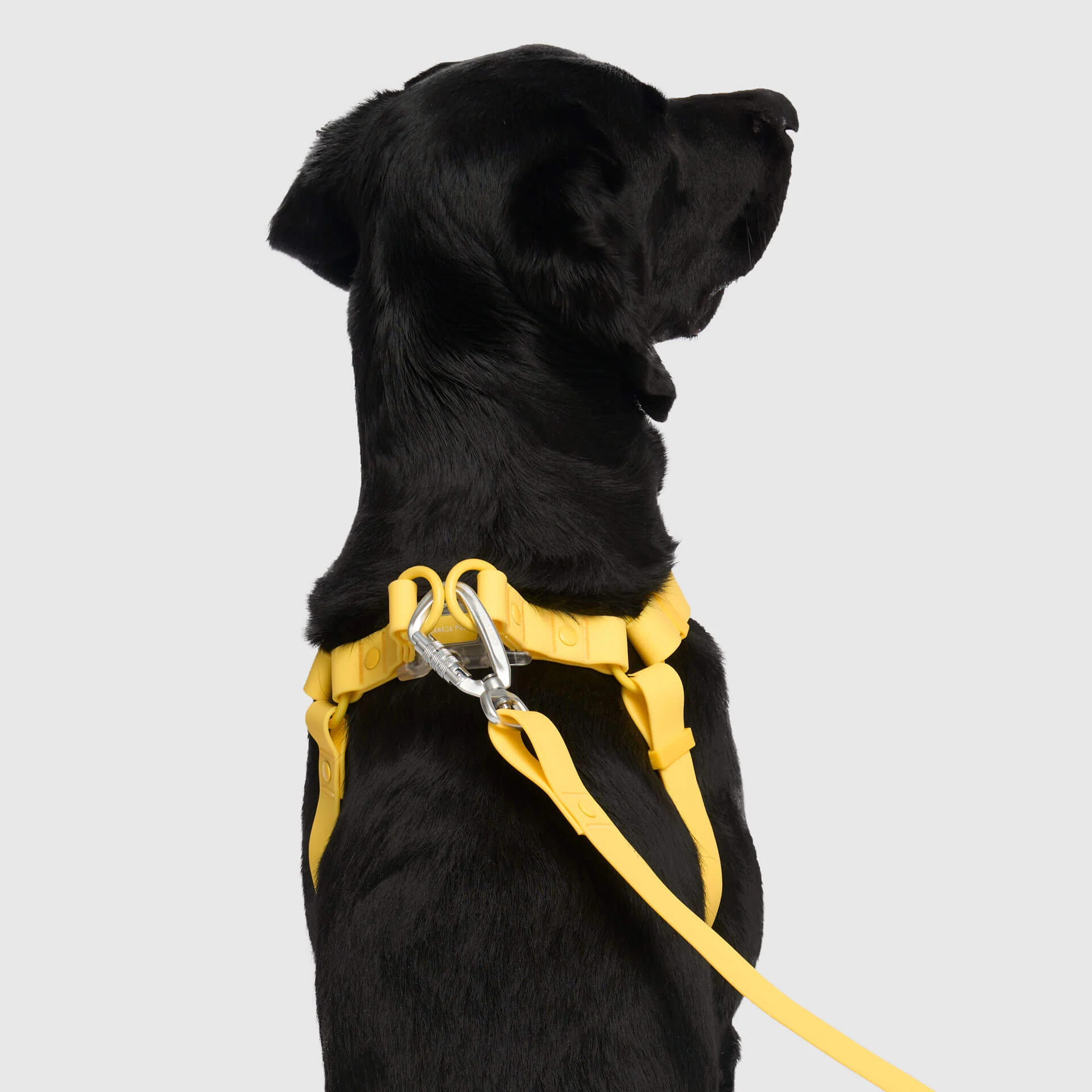 Waterproof Harness - Image 3