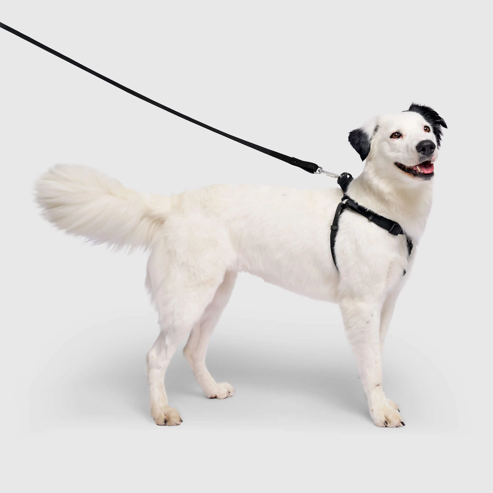Waterproof Harness - Image 6