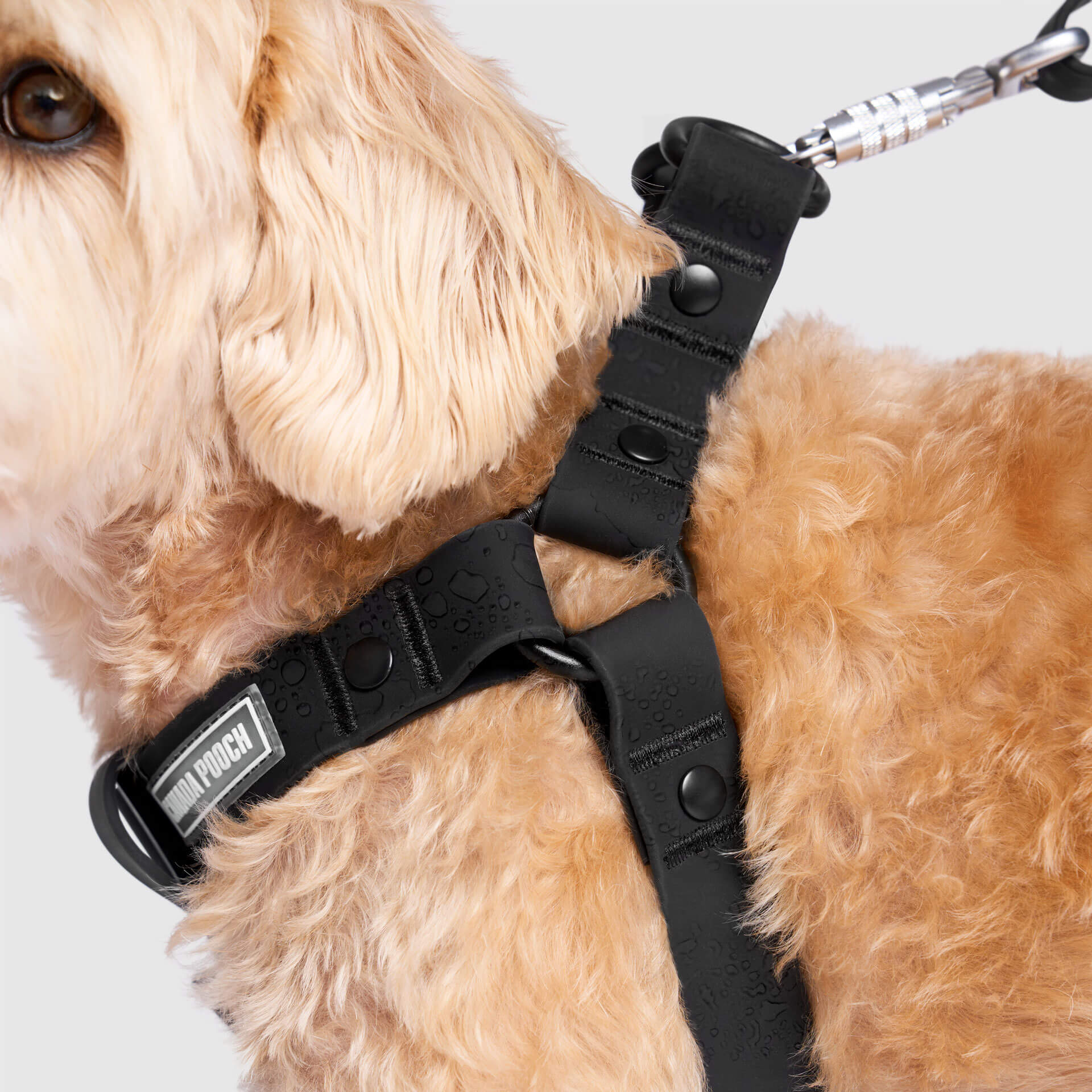 Waterproof Harness - Image 7