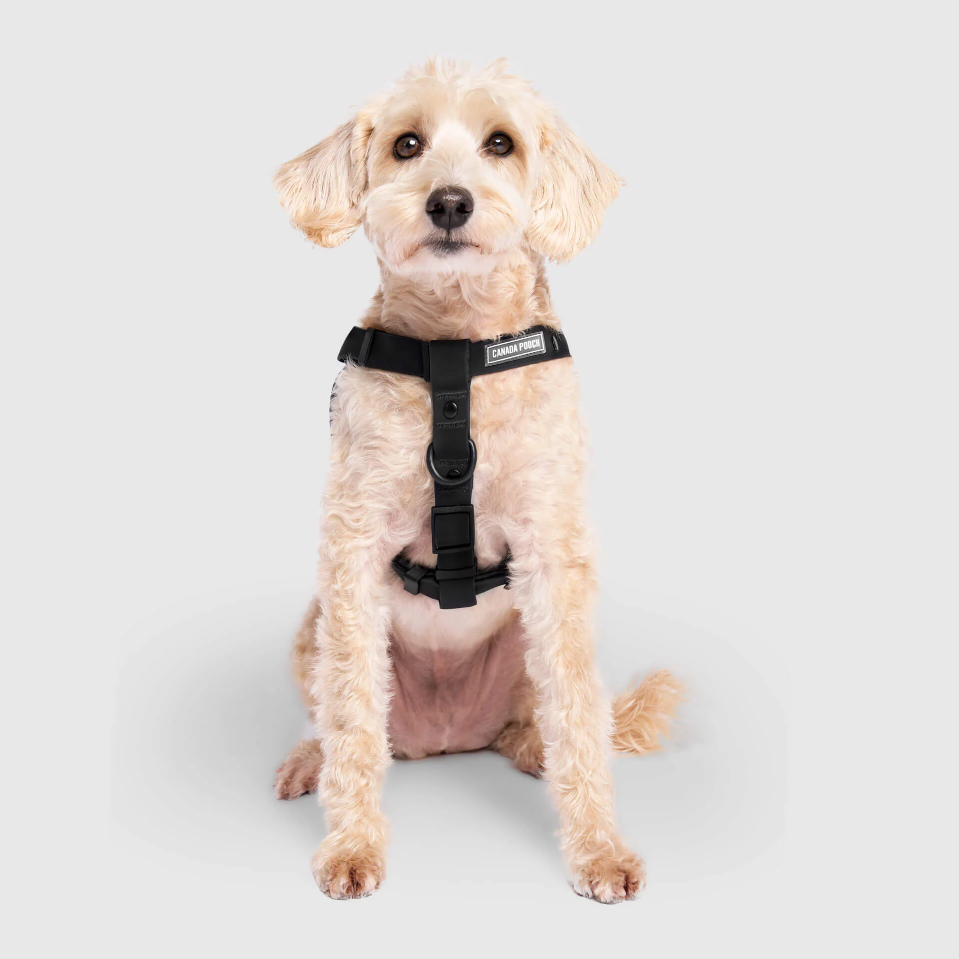 Waterproof Harness - Image 8