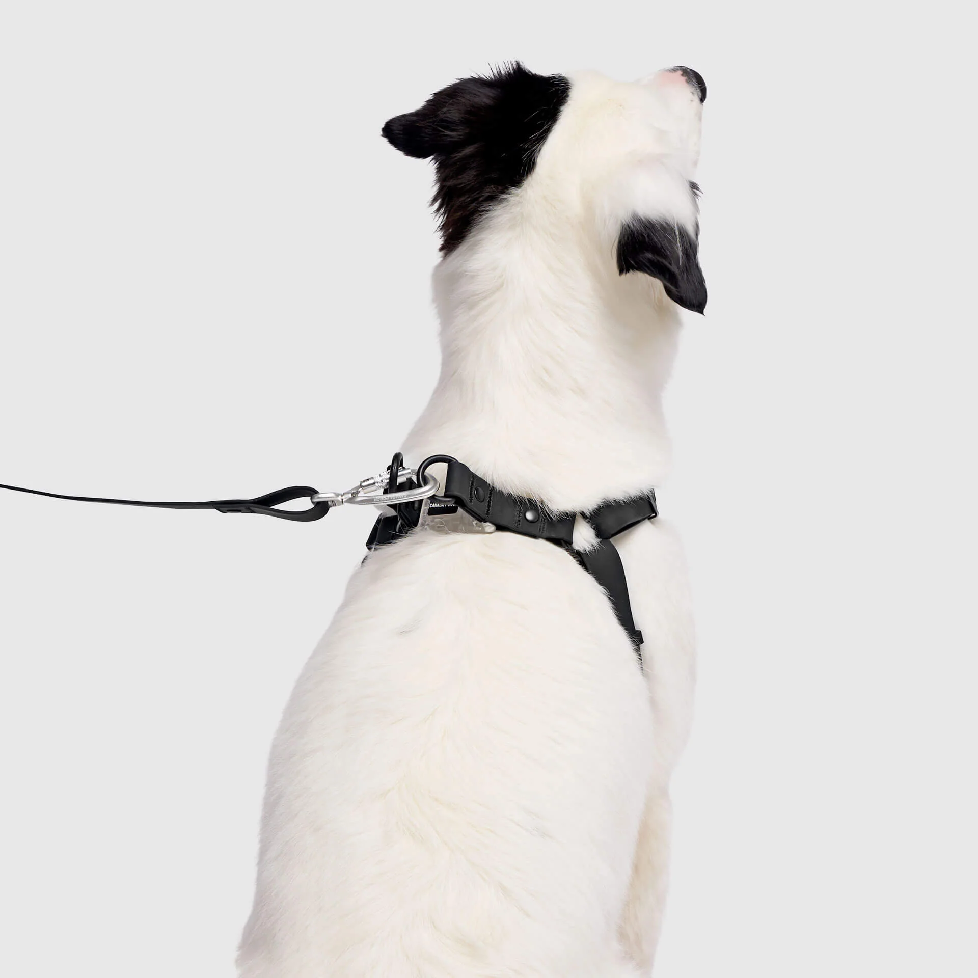 Waterproof Harness - Image 9
