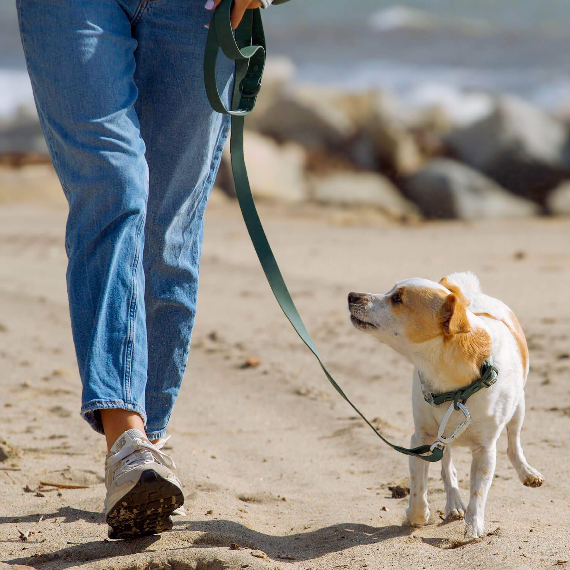 Waterproof Leash - Image 11