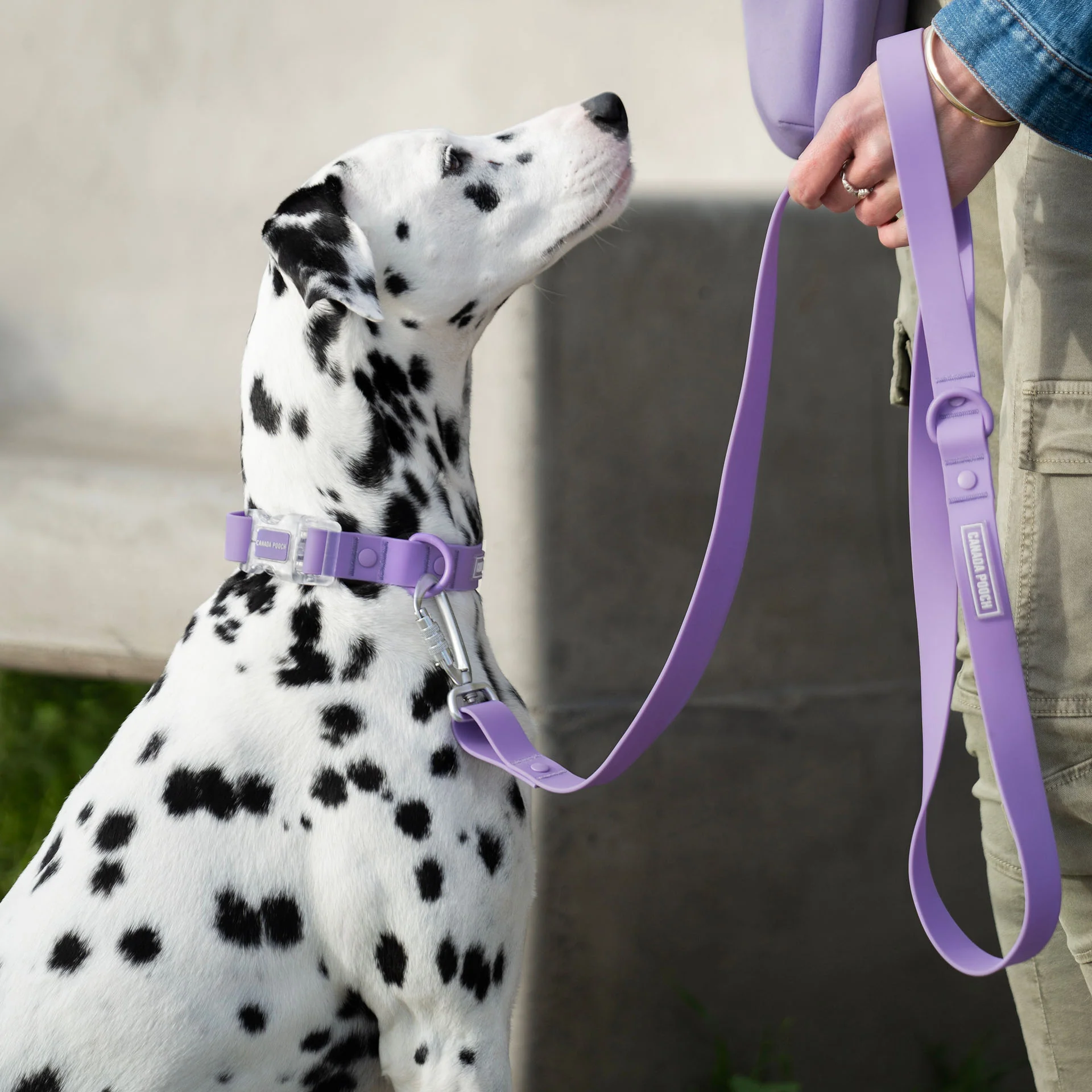 Waterproof Leash - Image 14