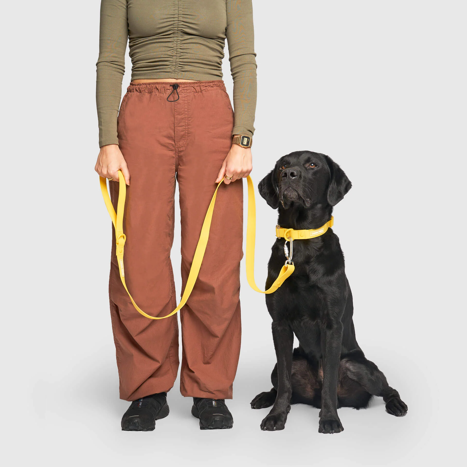 Waterproof Leash - Image 16