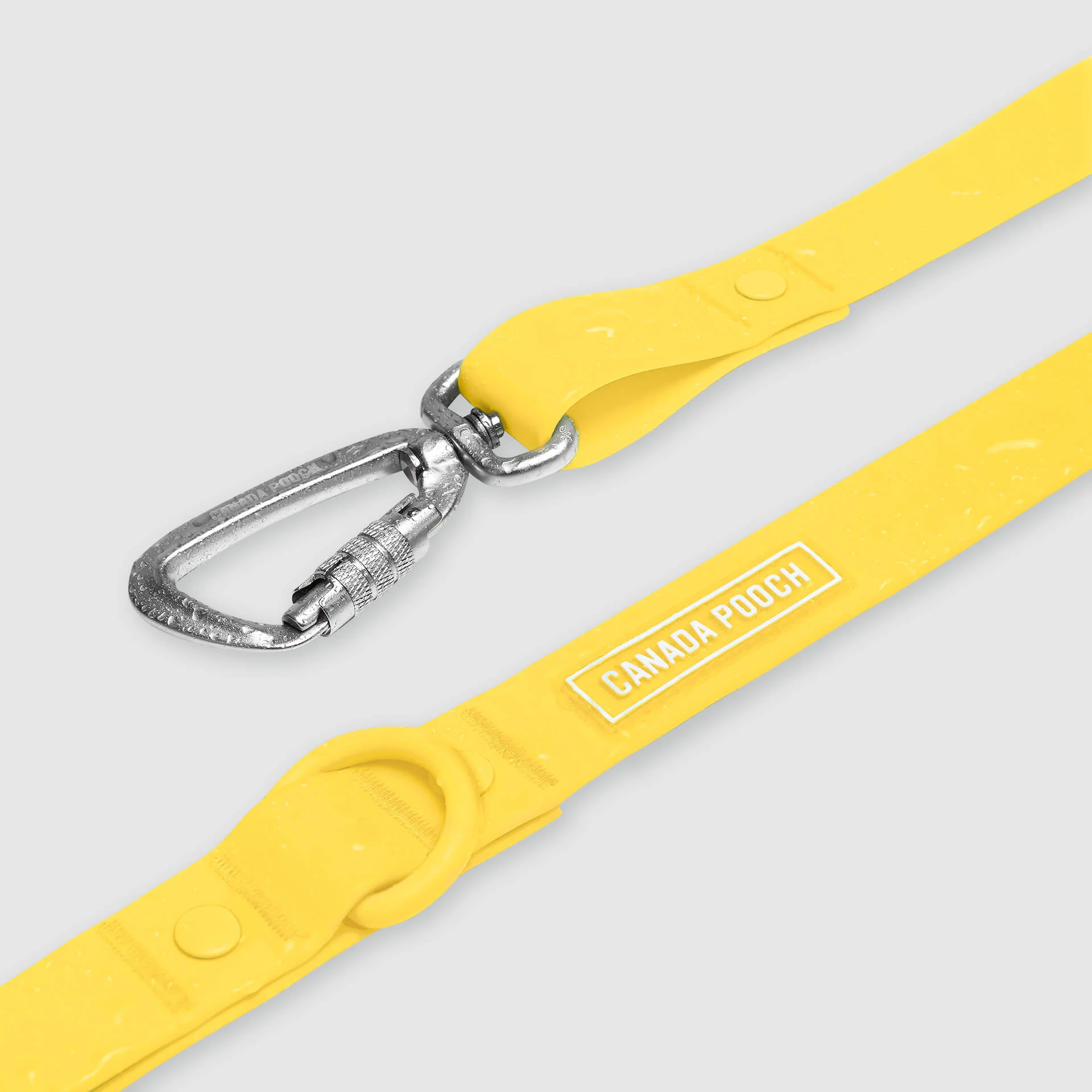 Waterproof Leash - Image 17