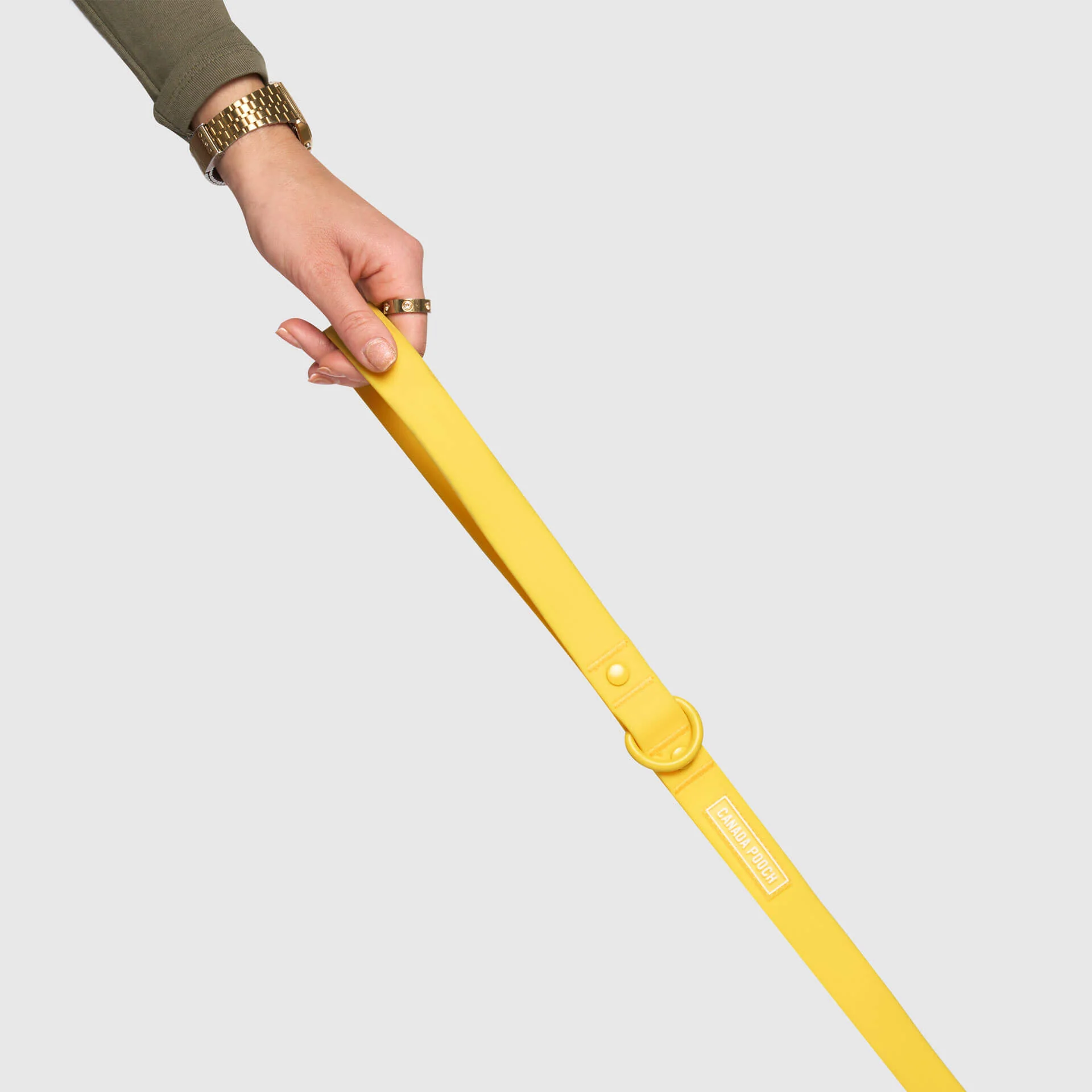 Waterproof Leash - Image 18