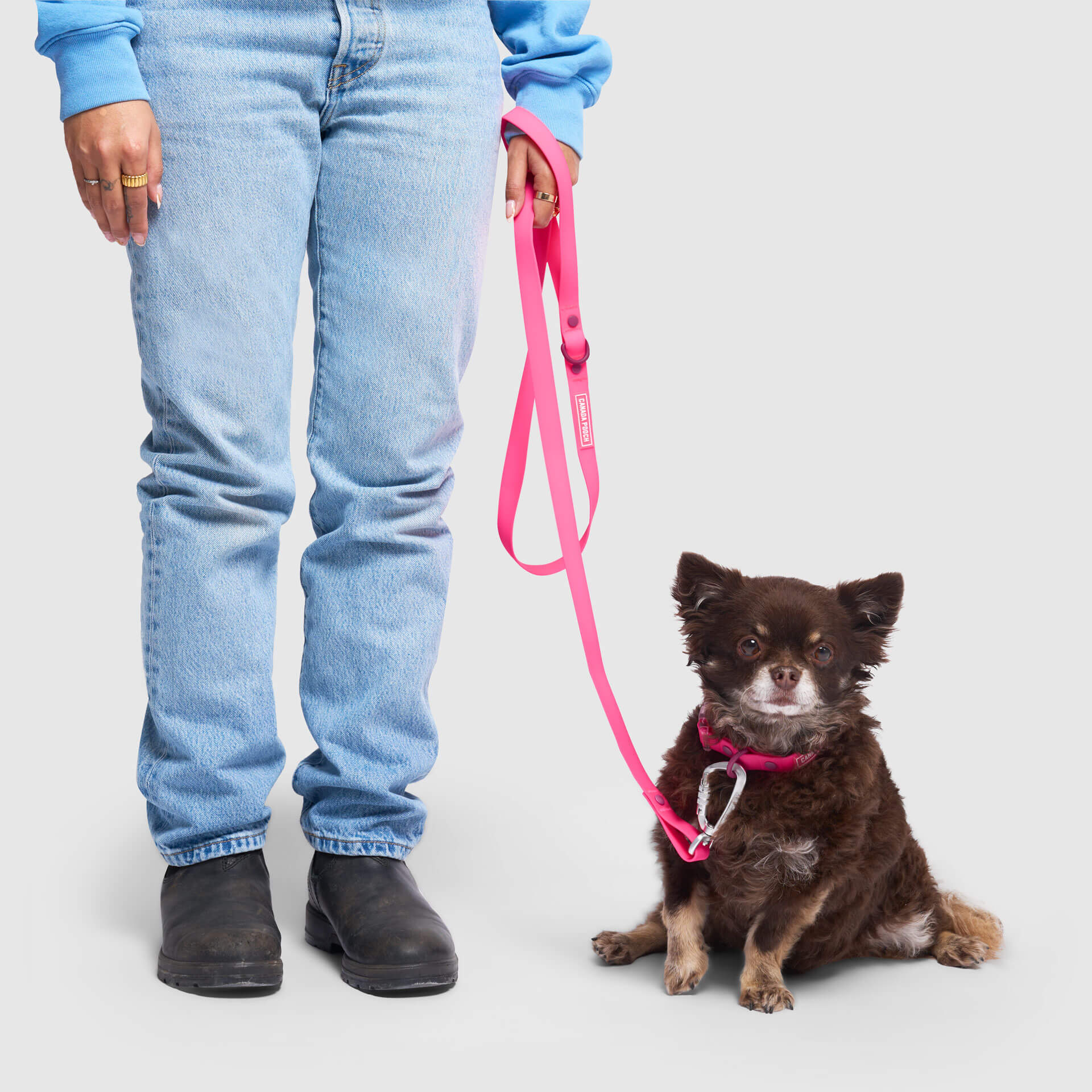 Waterproof Leash - Image 21