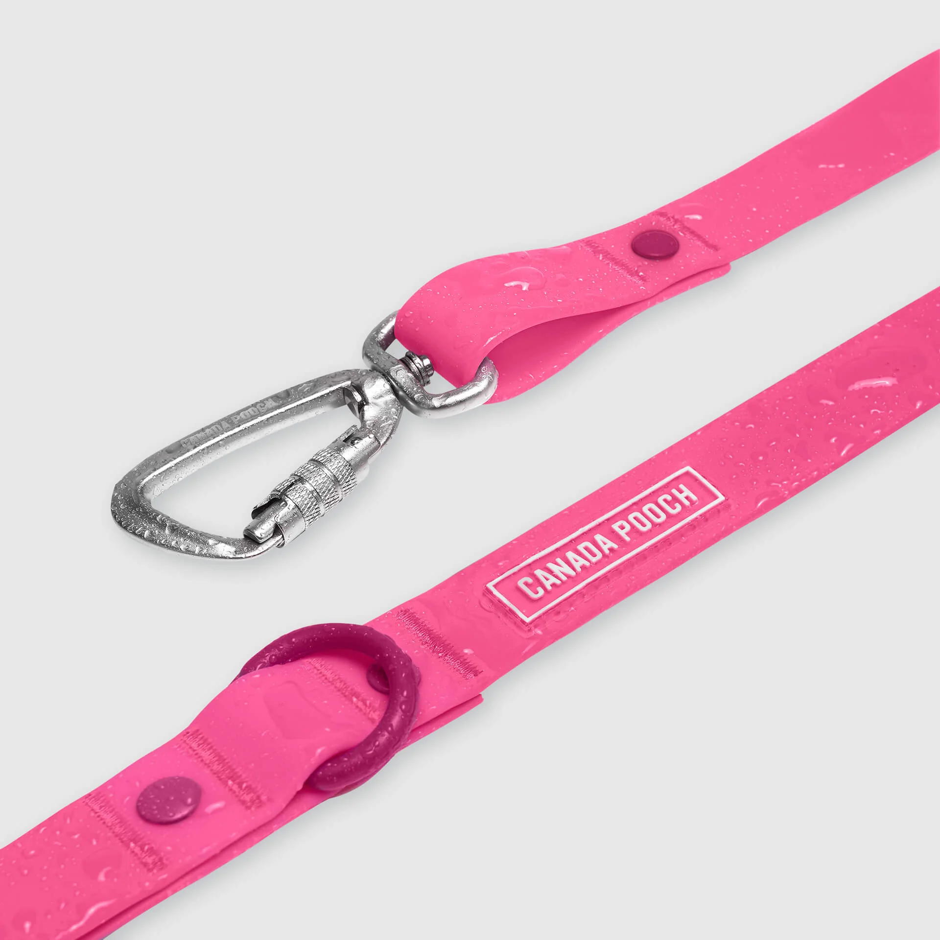 Waterproof Leash - Image 22
