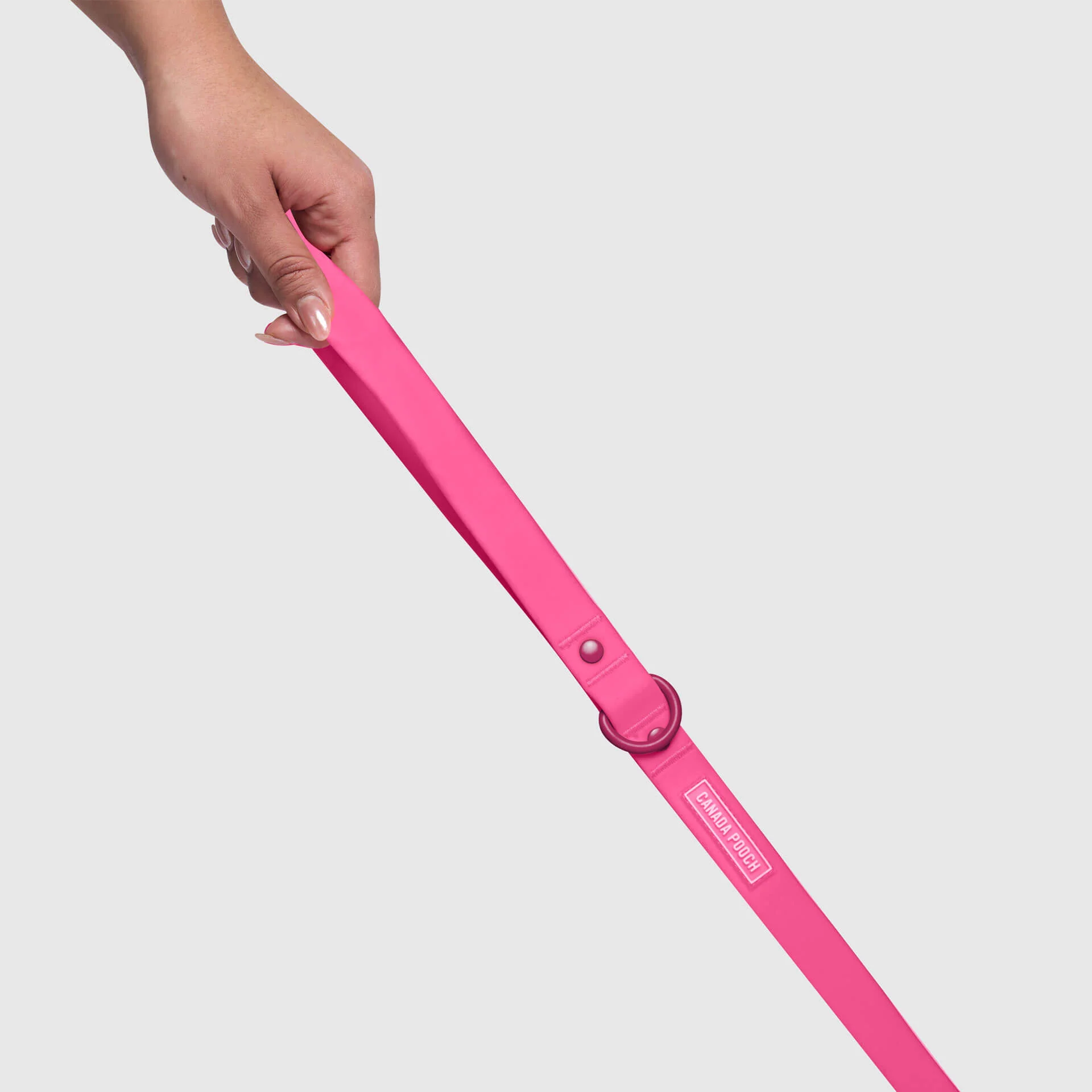Waterproof Leash - Image 23