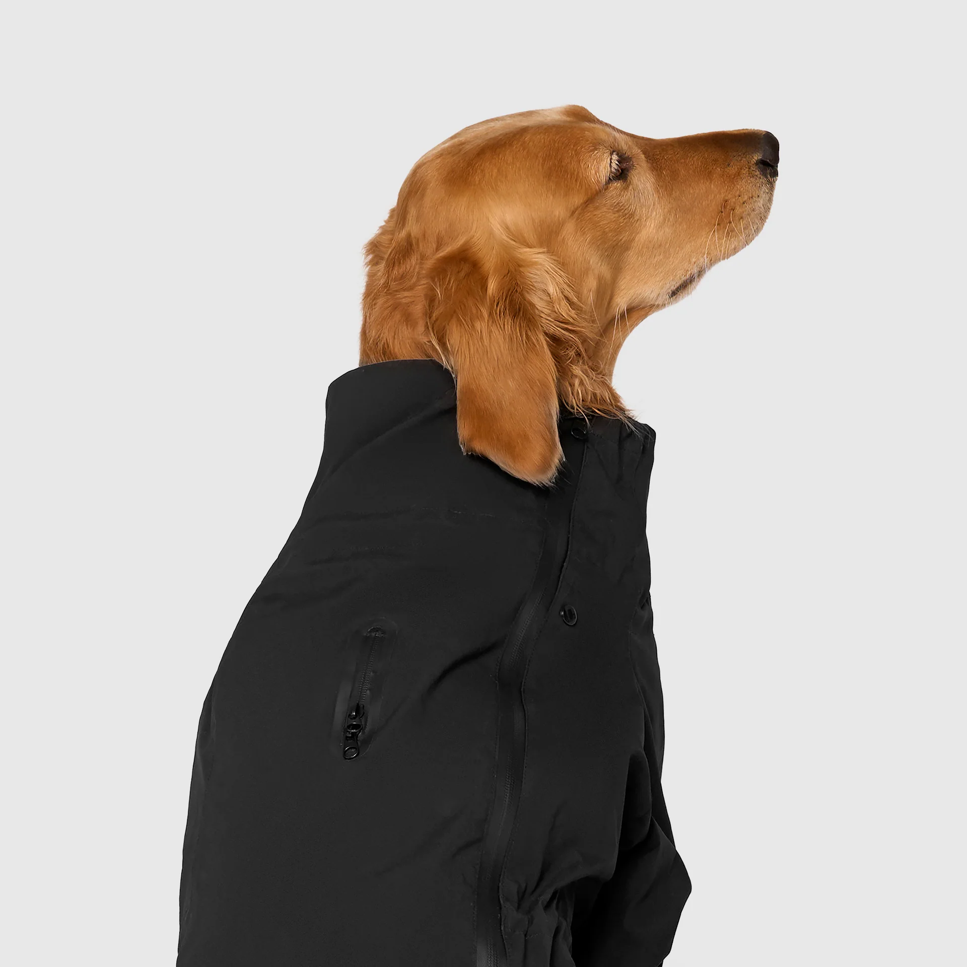Waterproof Raincoat - Image 14